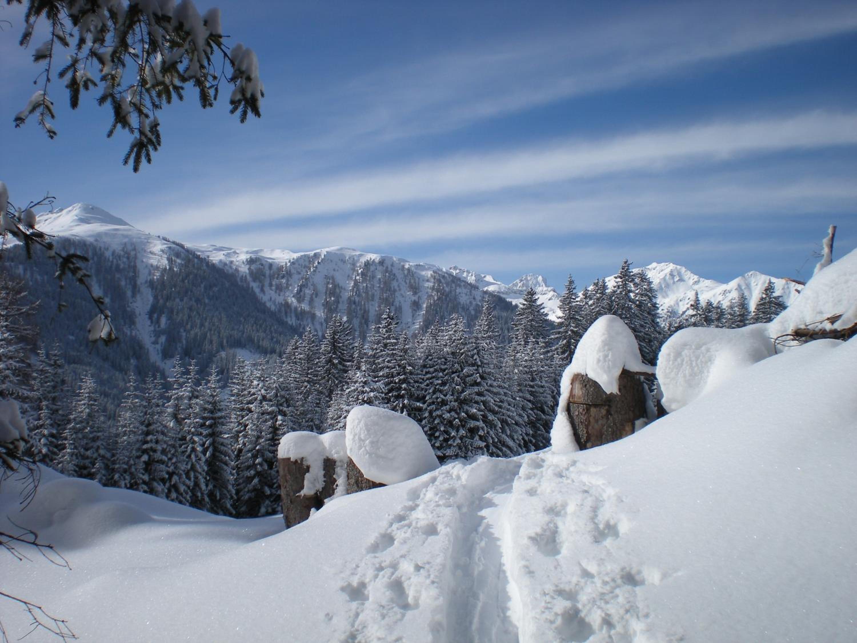 Der Oswalderhof