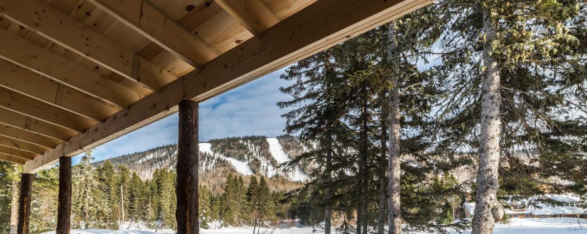 Le Ross - Les Chalets Spa Canada view 3