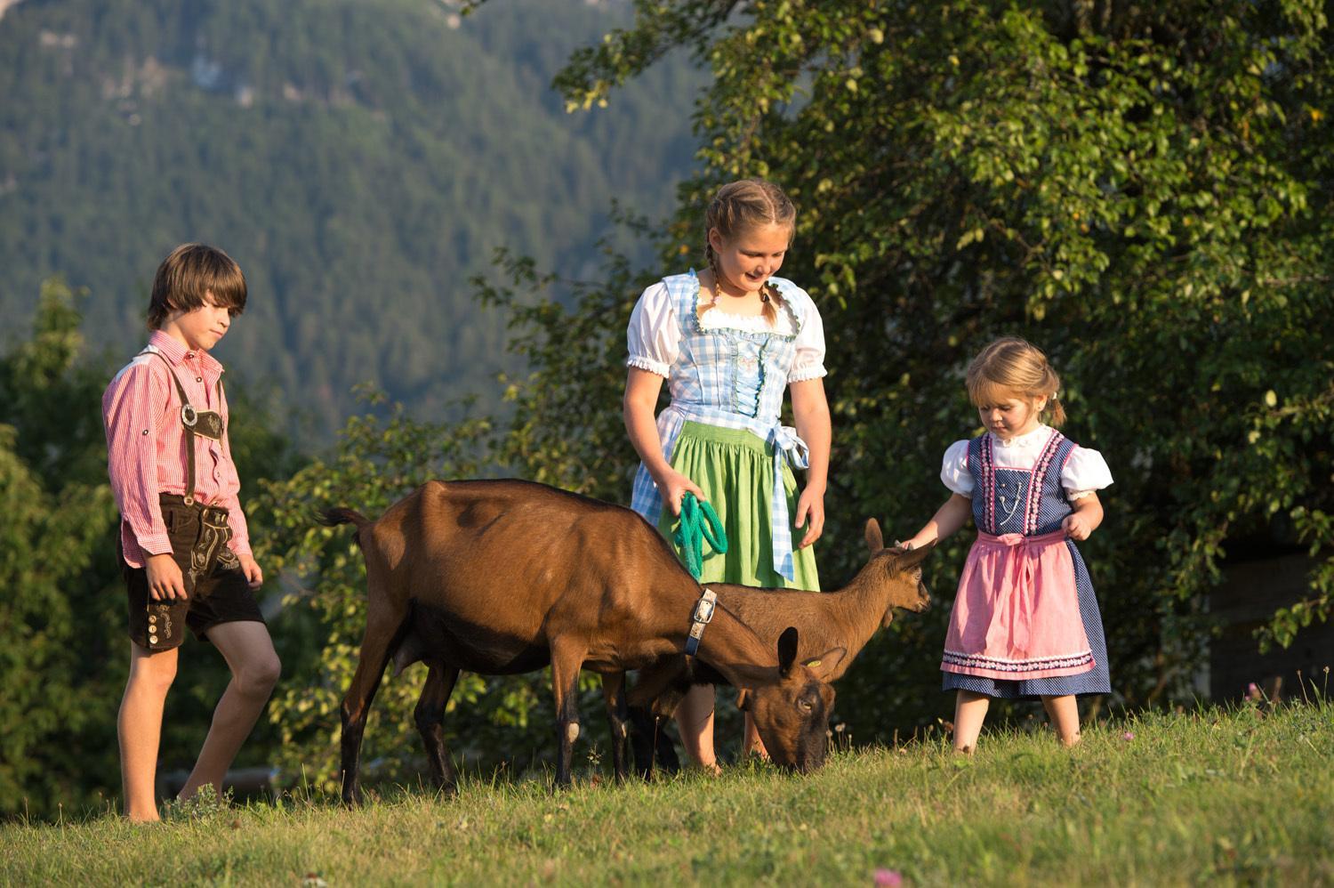 Dosserhof