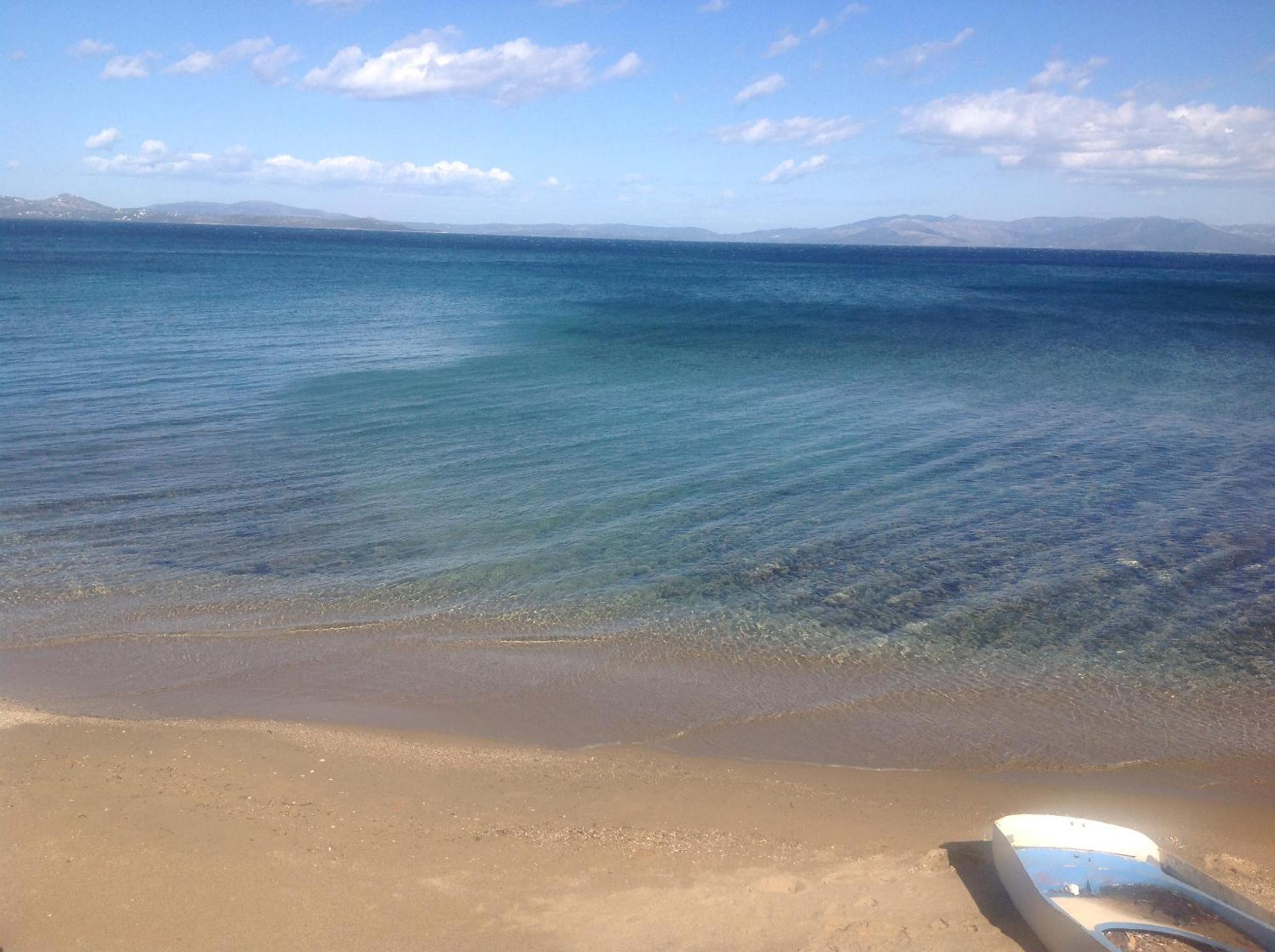 Open & Swim House view 5