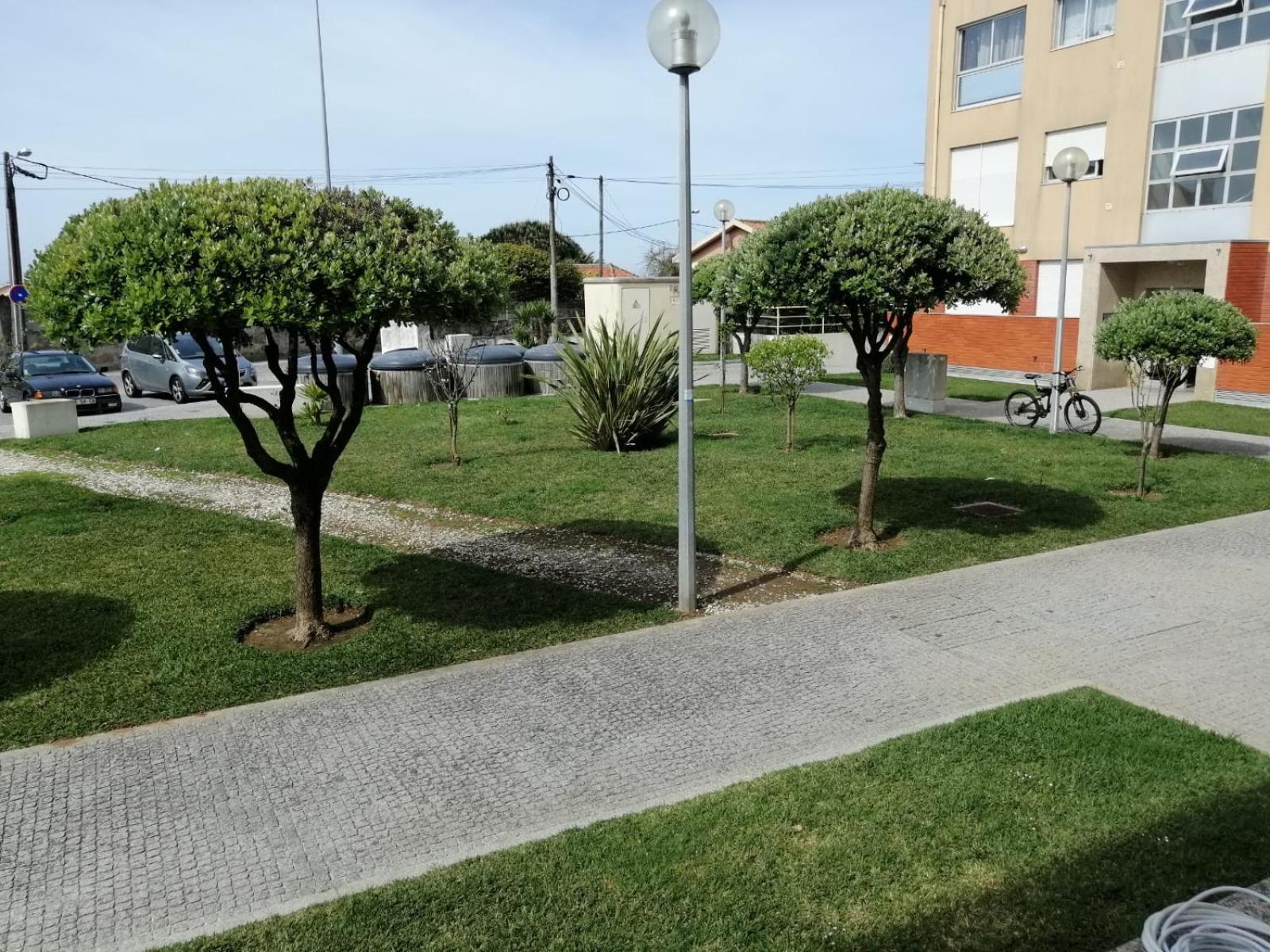 Lemon Tree Apartment view 3