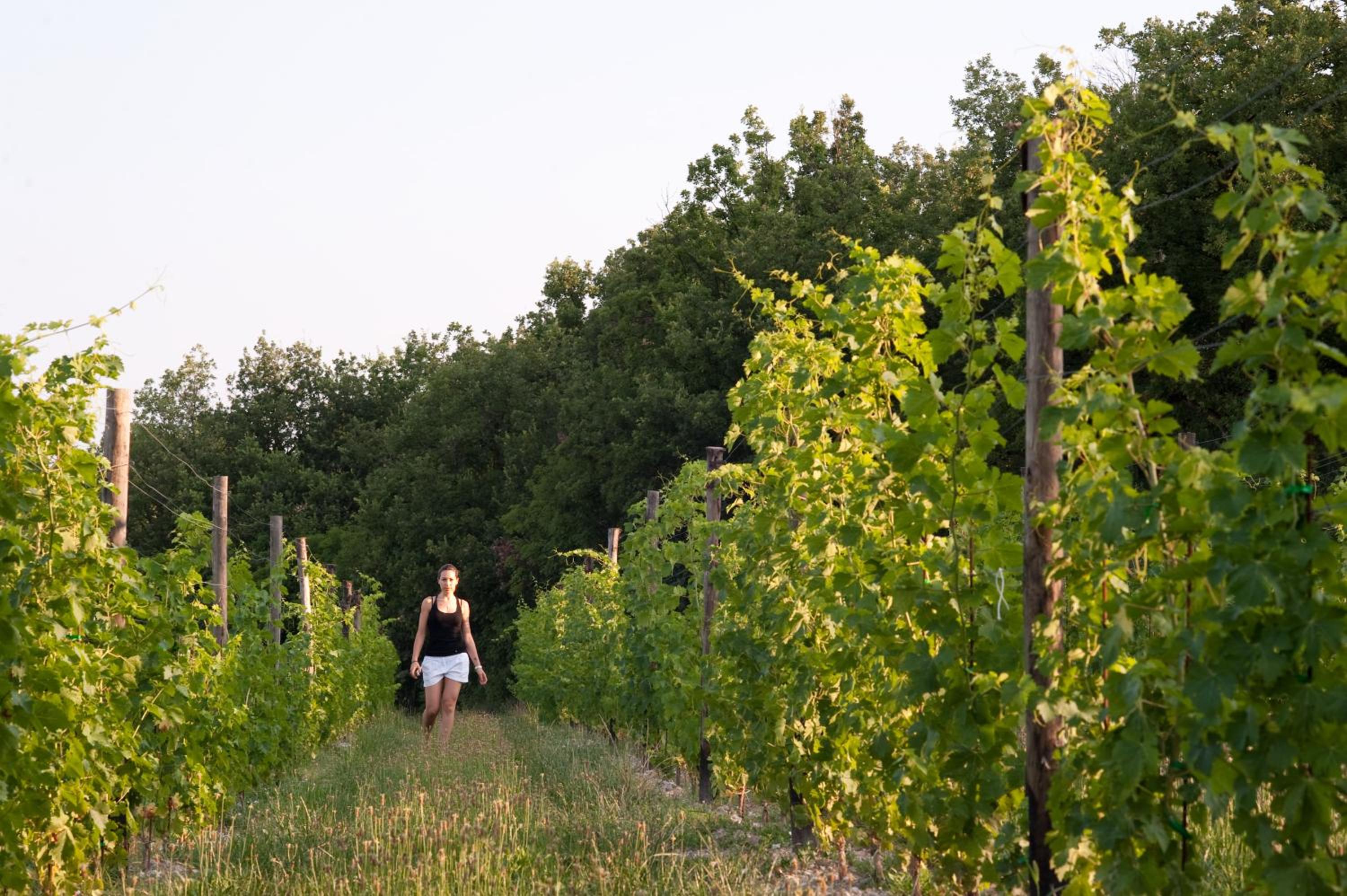 Quercia Belvedere Relais