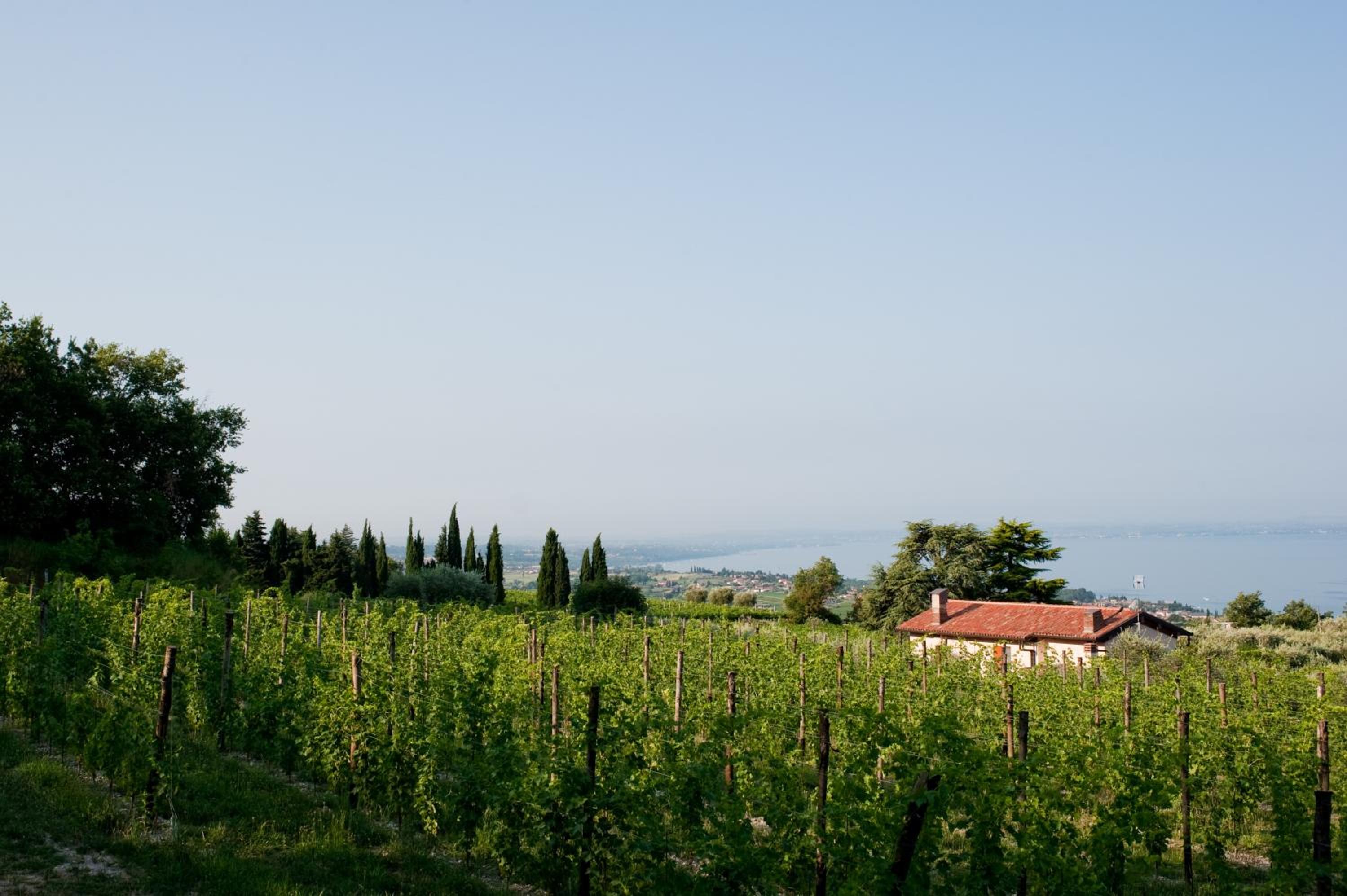 Quercia Belvedere Relais