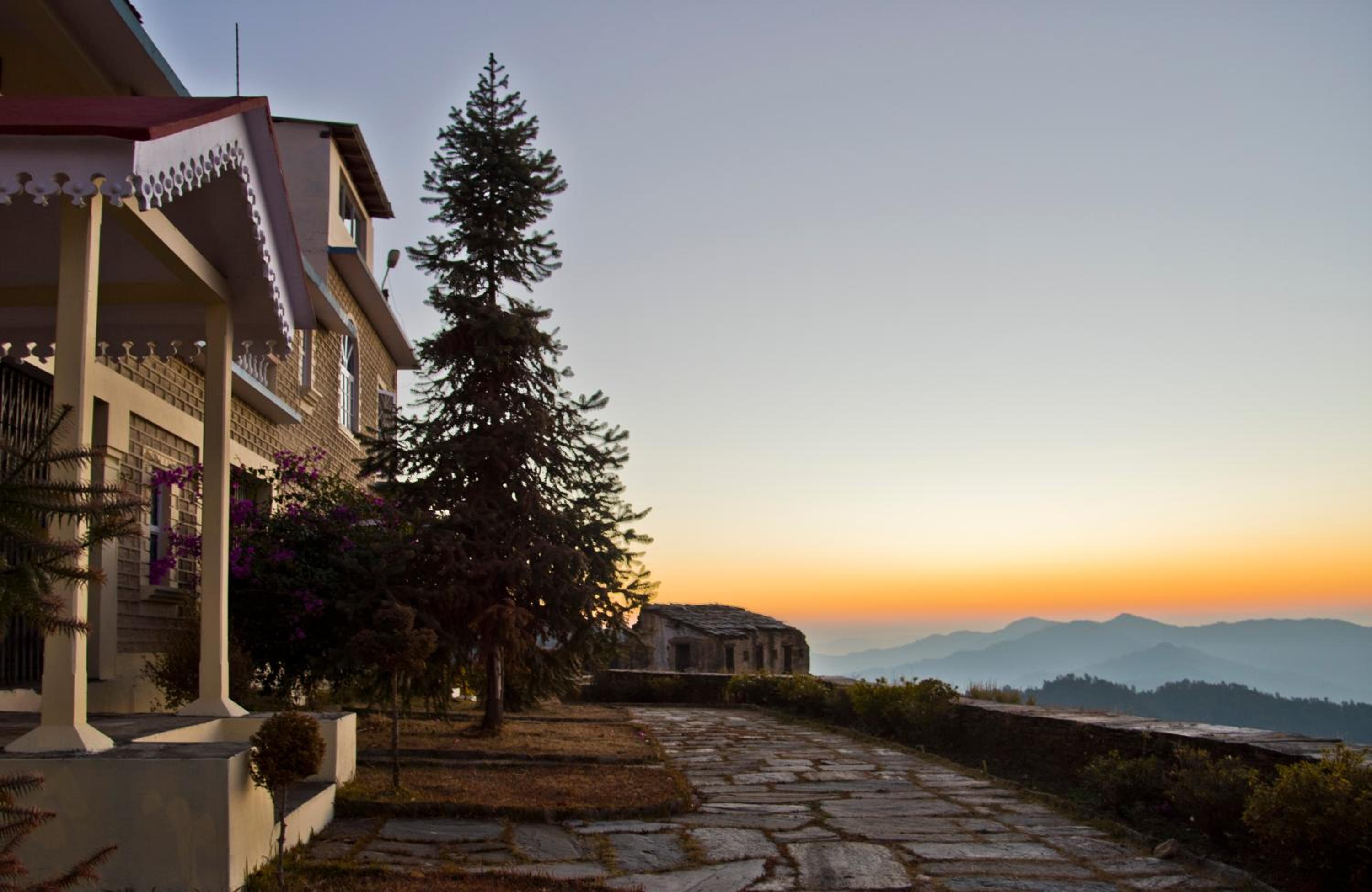 Tree of Life Grand Oak Manor Binsar