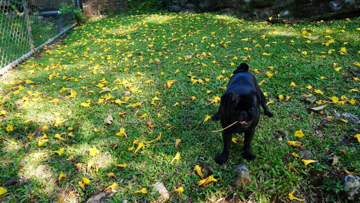 Hospedaje La Naciente