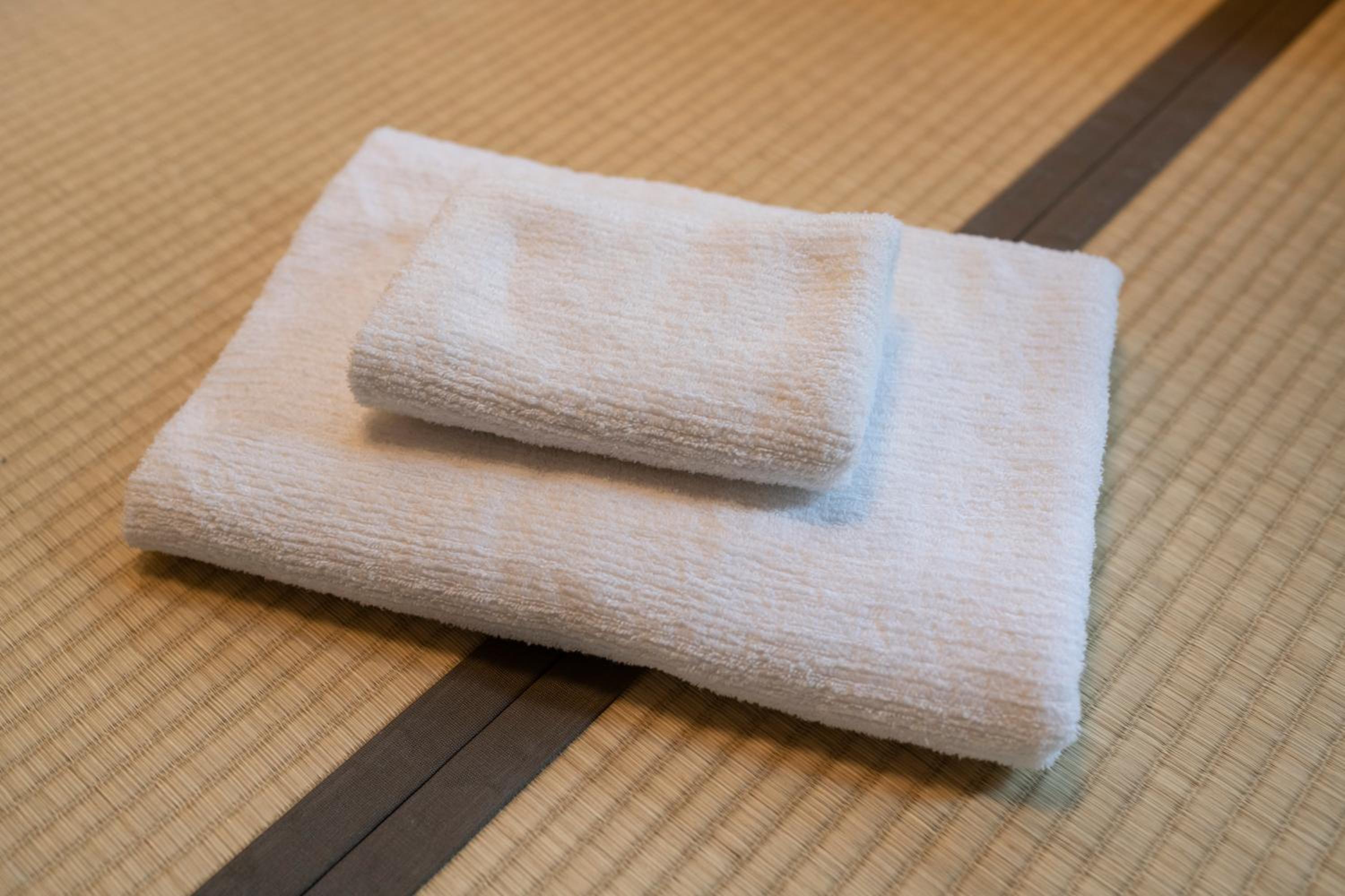 Nihonbashi Kakigara Ryokan