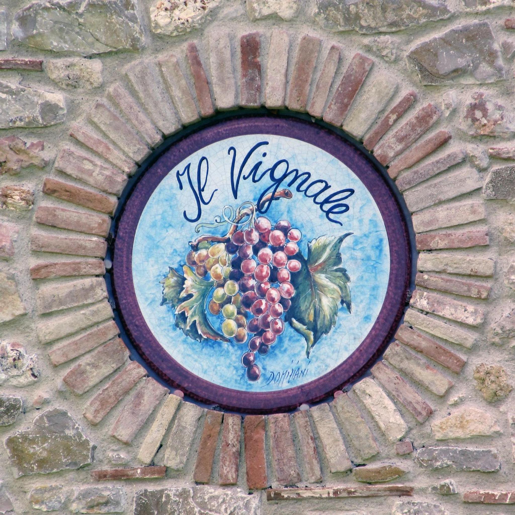Il Vignale view 4
