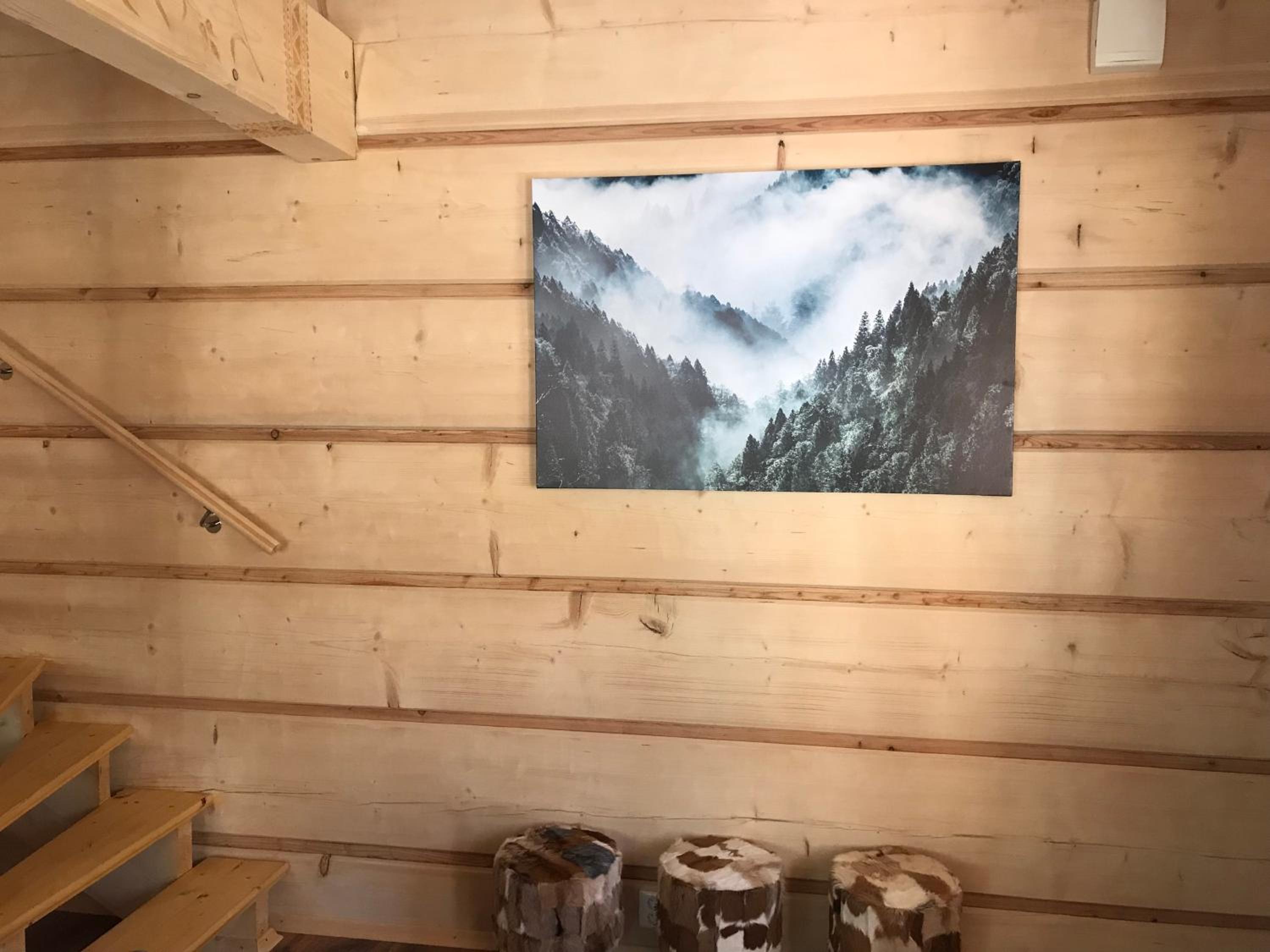 Swiss Chalet view 4