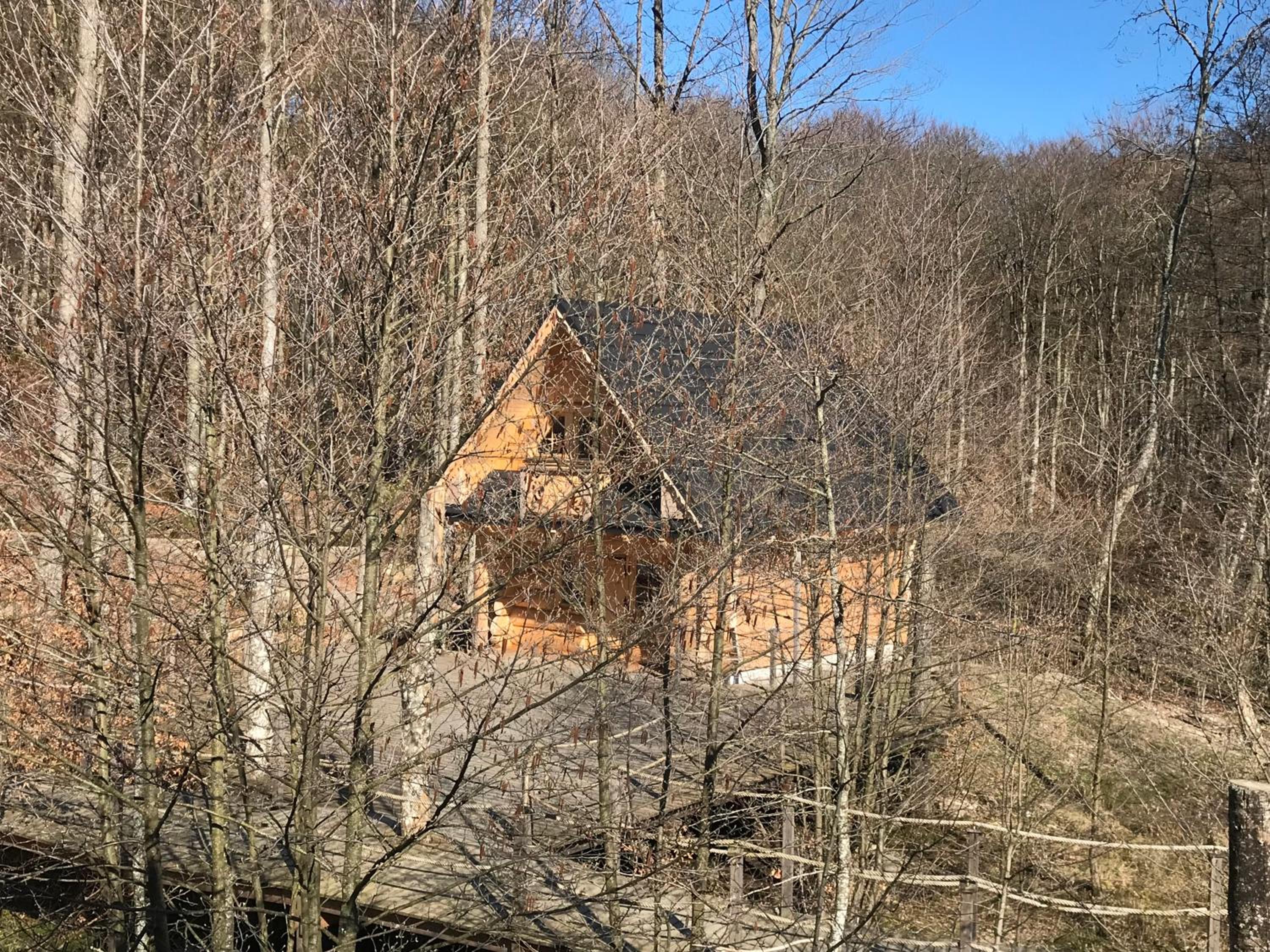 Swiss Chalet view 3
