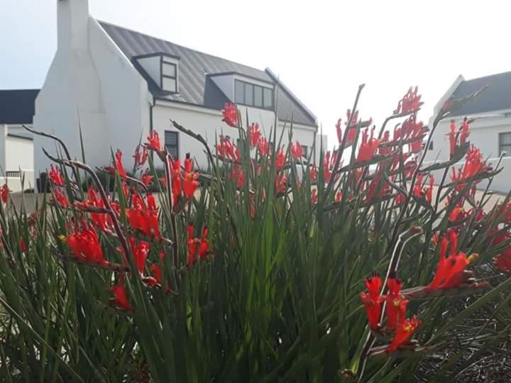 T & T Thiart Fisherman's House