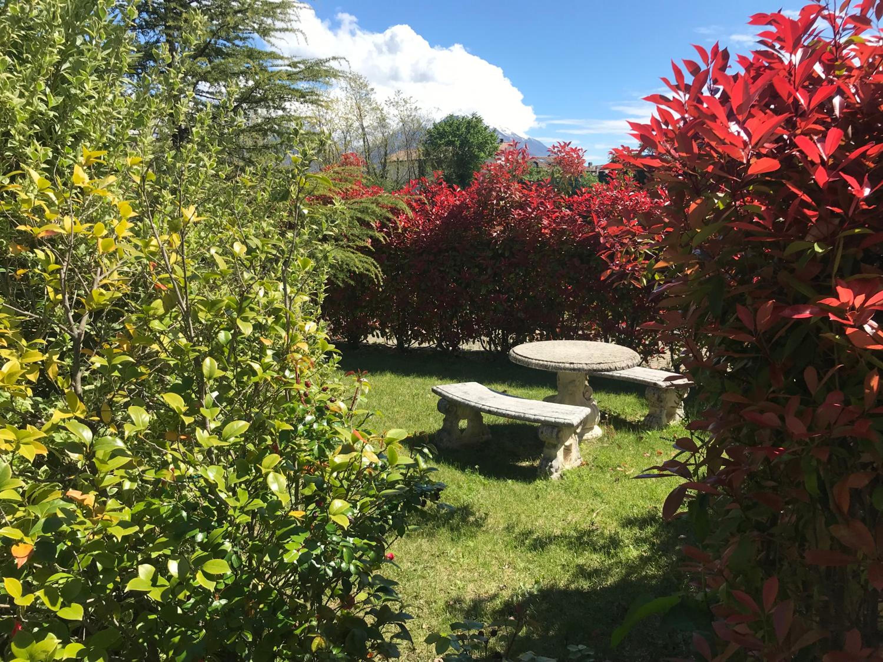 garden