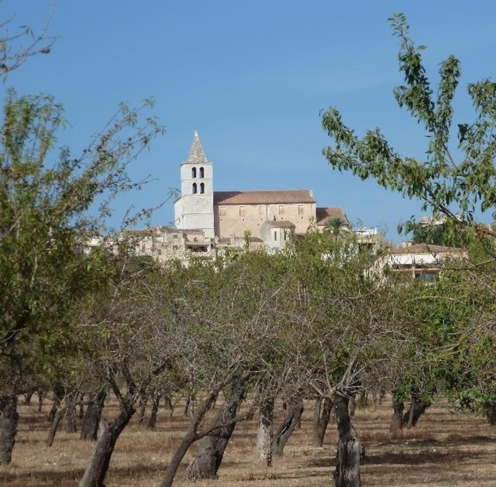 Photo 46