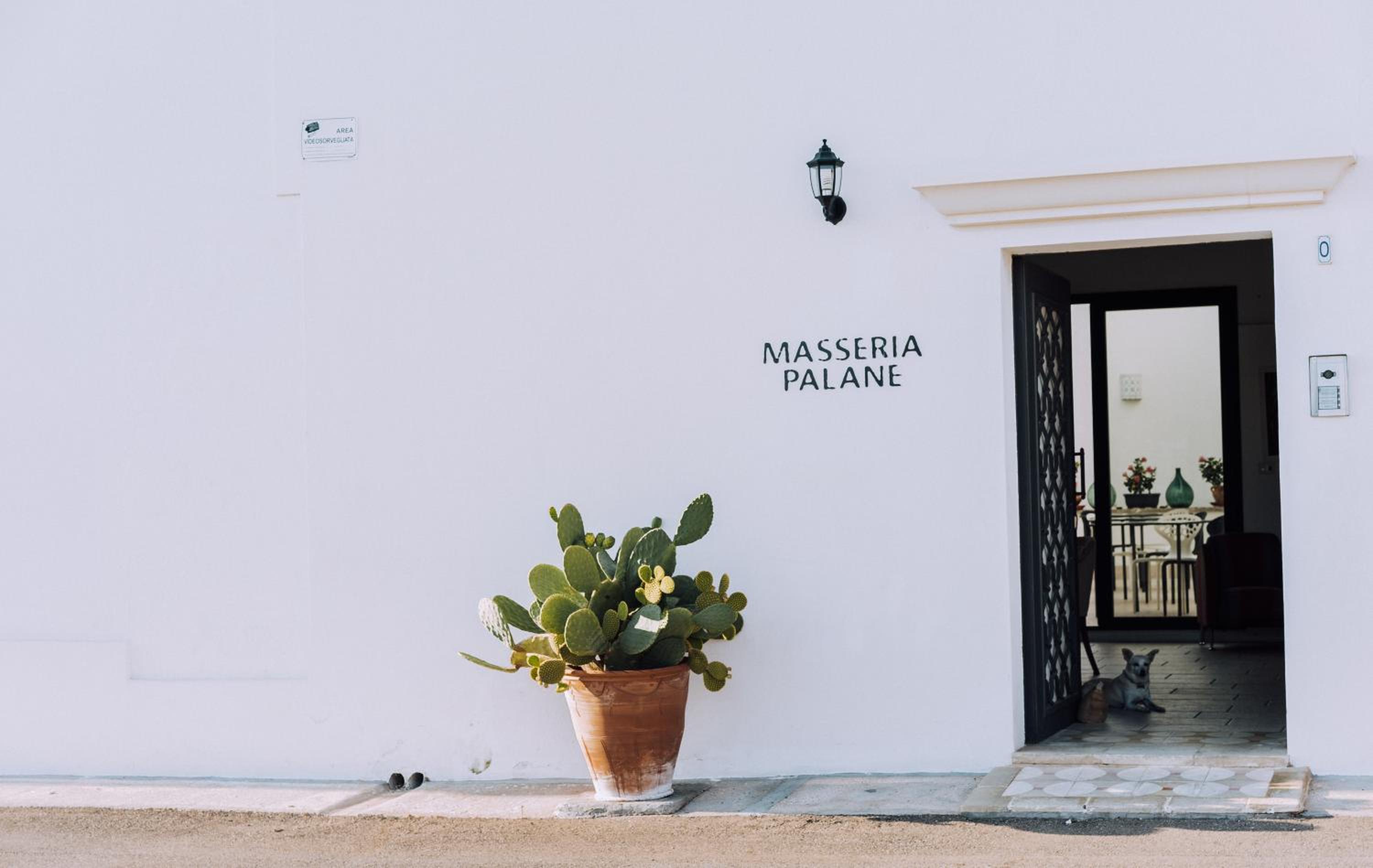 Masseria Palane