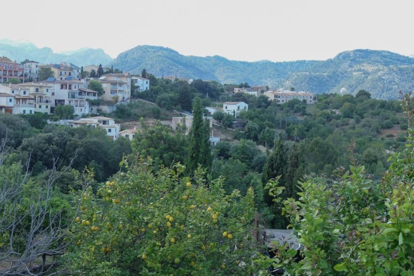 Photo 42
