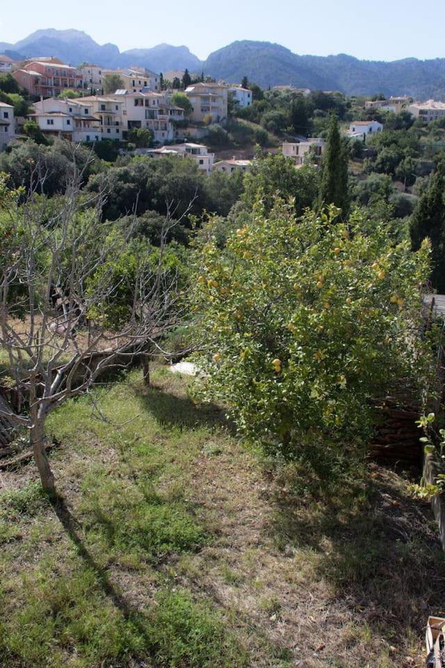 Photo 45