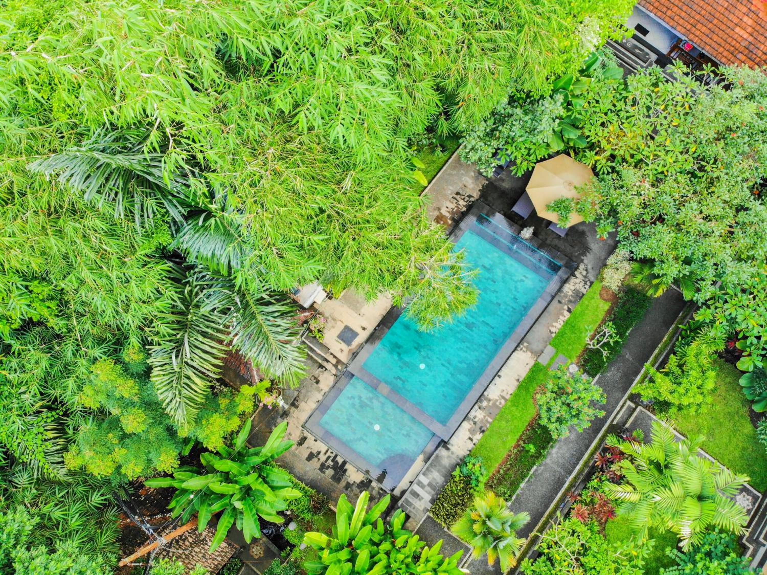Sari Bamboo Villas
