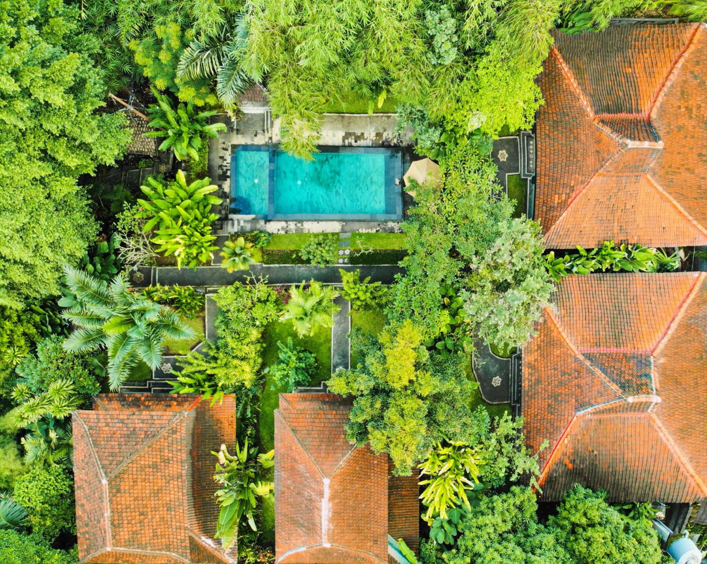 Sari Bamboo Villas