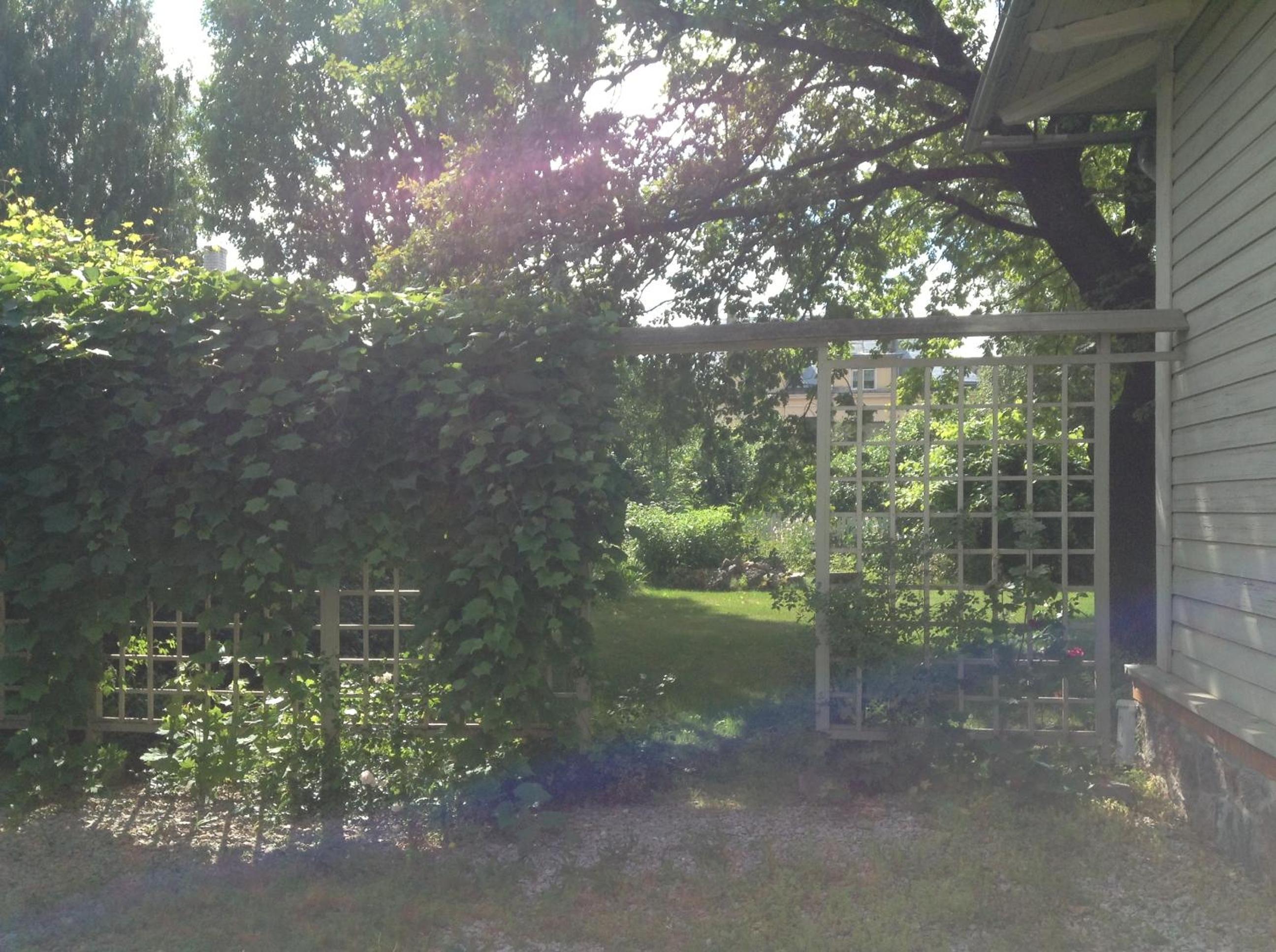 Photo 27