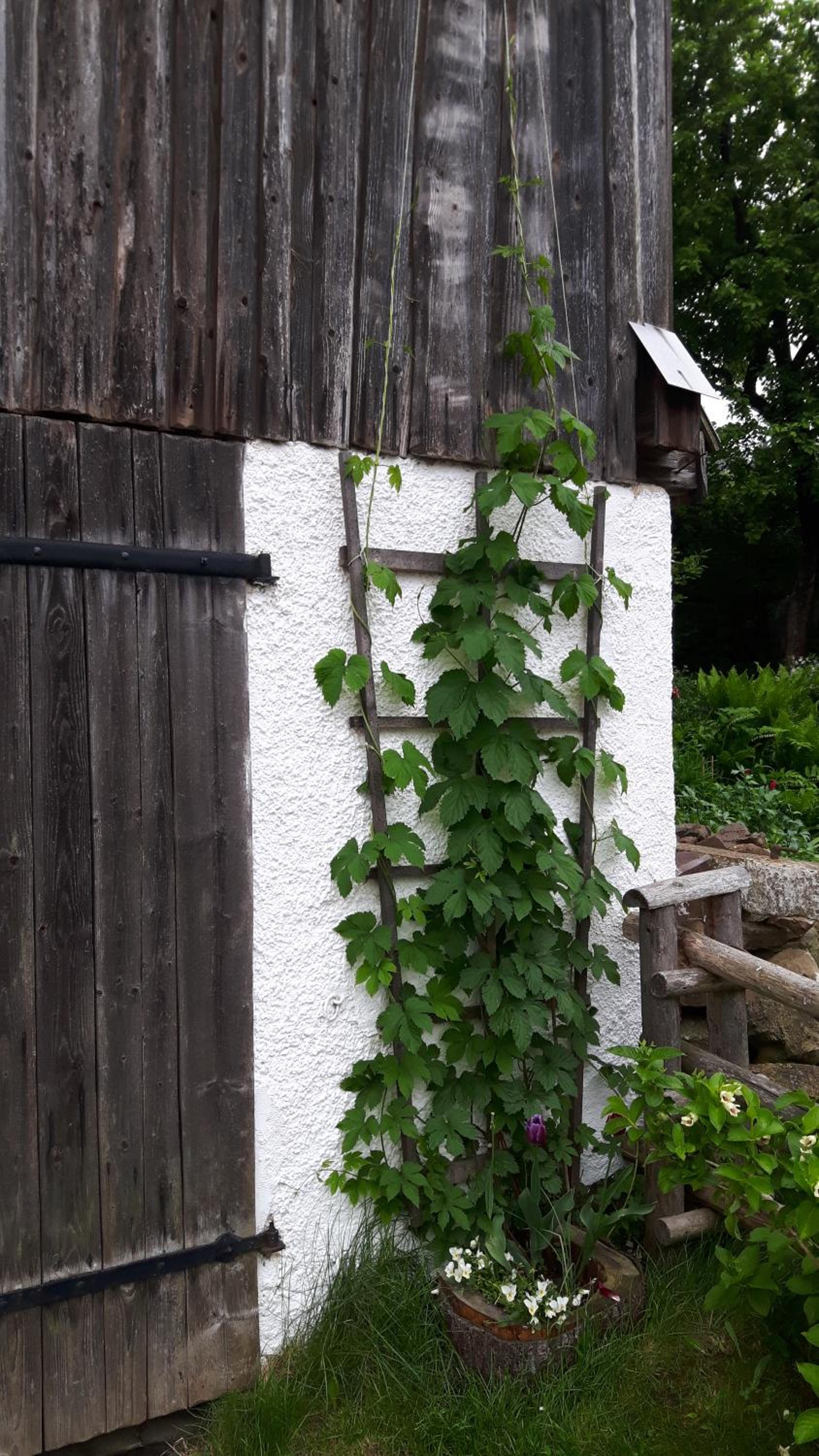 Ferienhaus Rachelblick
