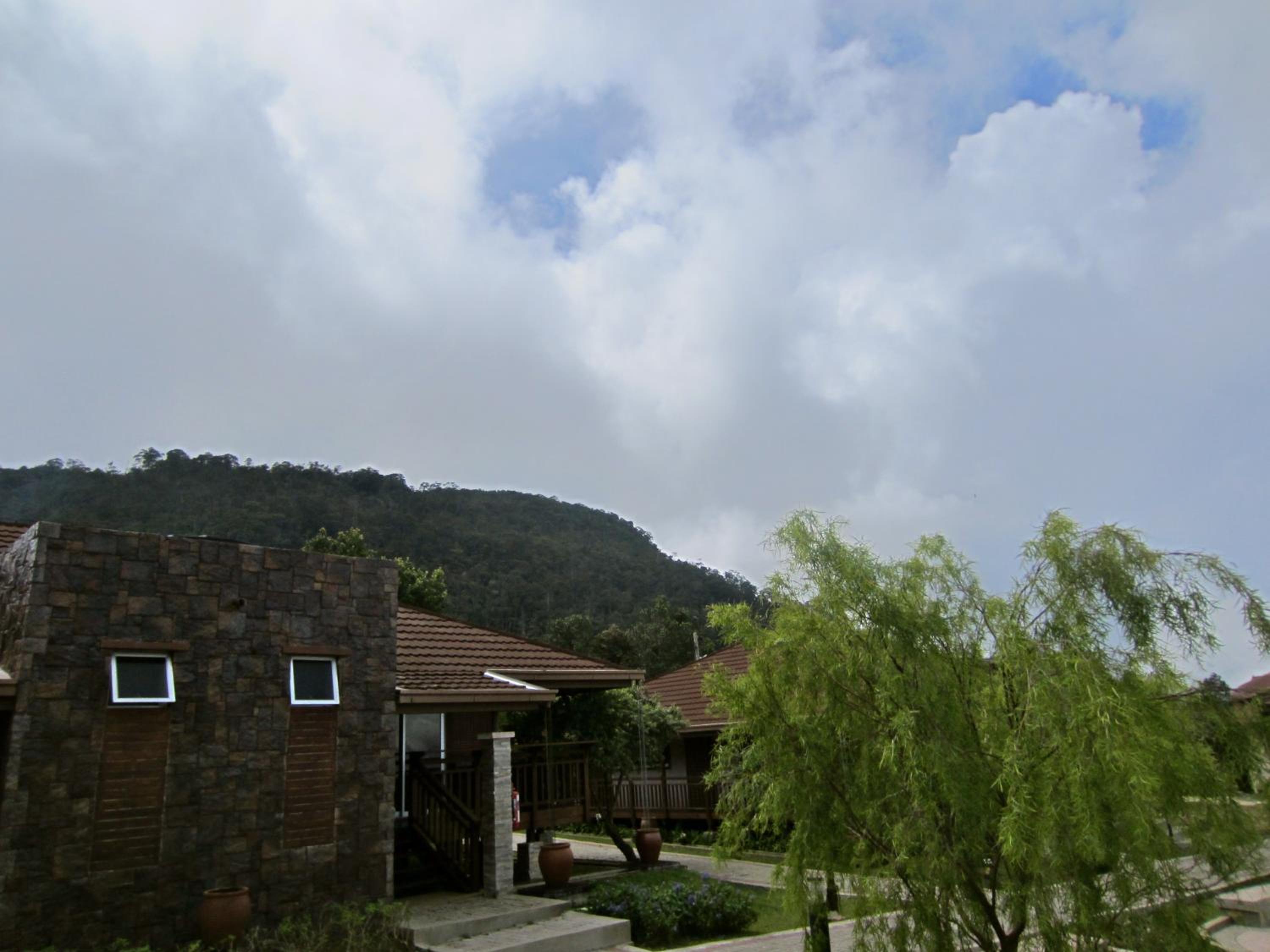 Photo 23