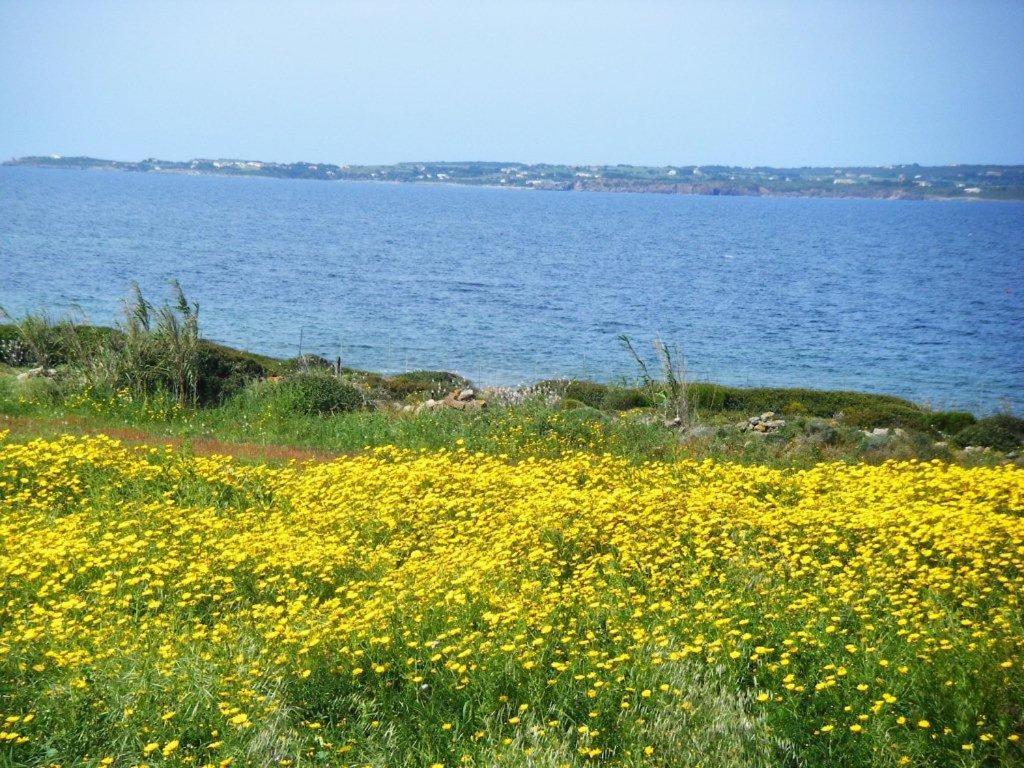 Photo 34
