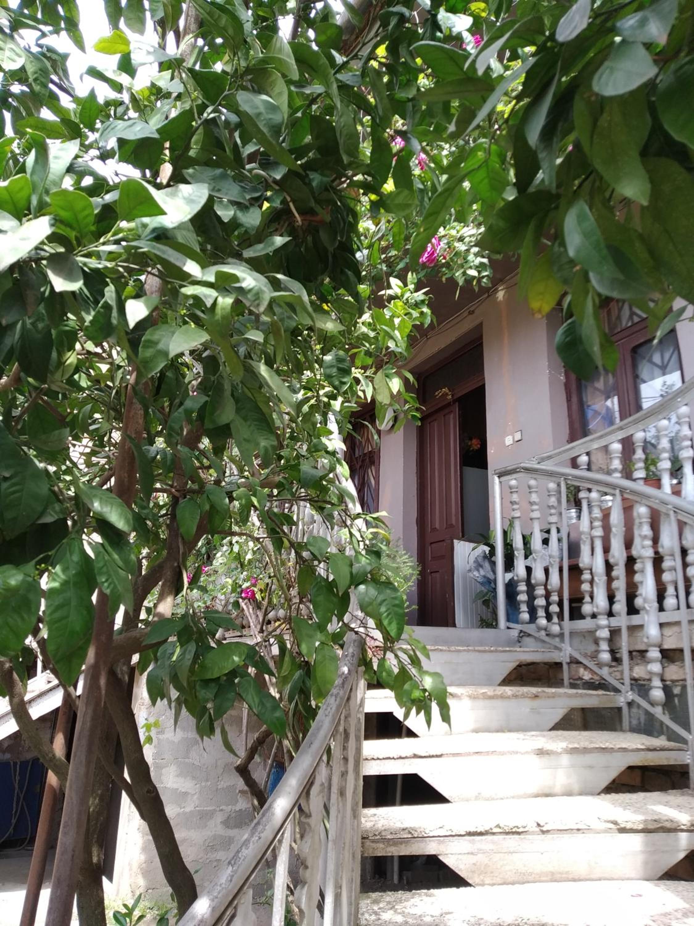 Downtown guest house view 5