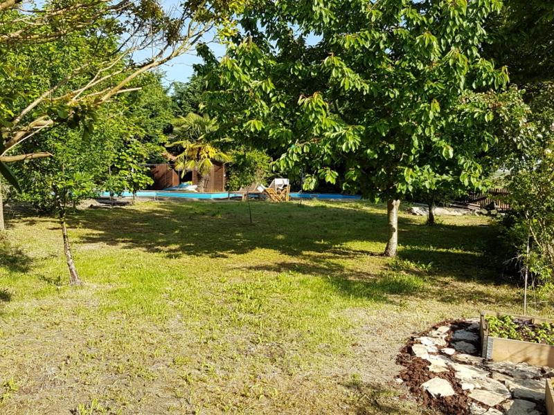 Camomilla, fotografía 3