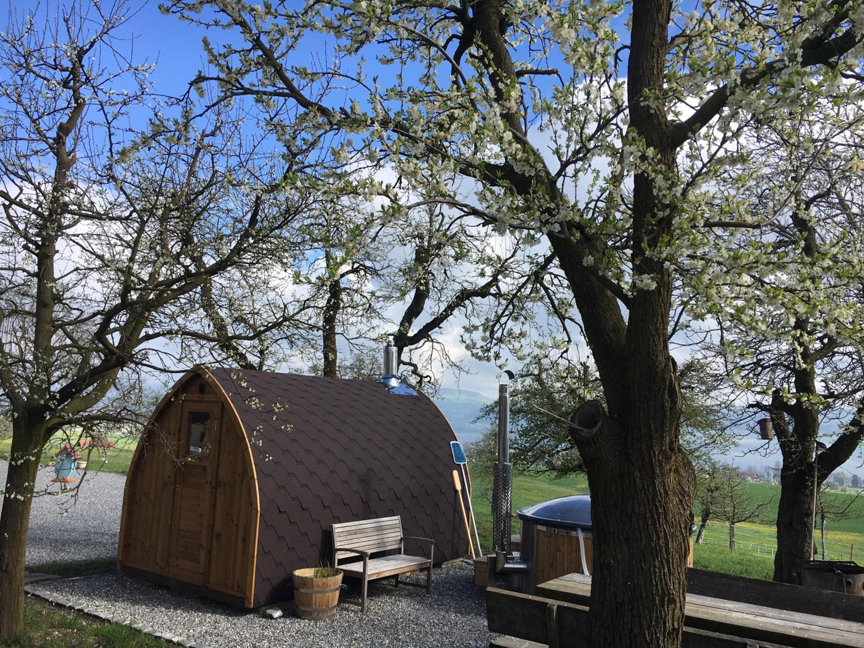 B&B Friedau