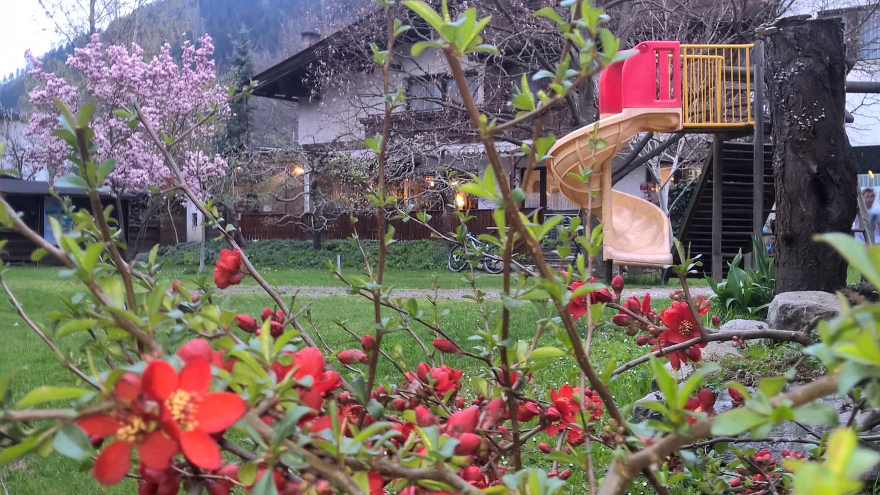 Landhaus & Camping Pichler