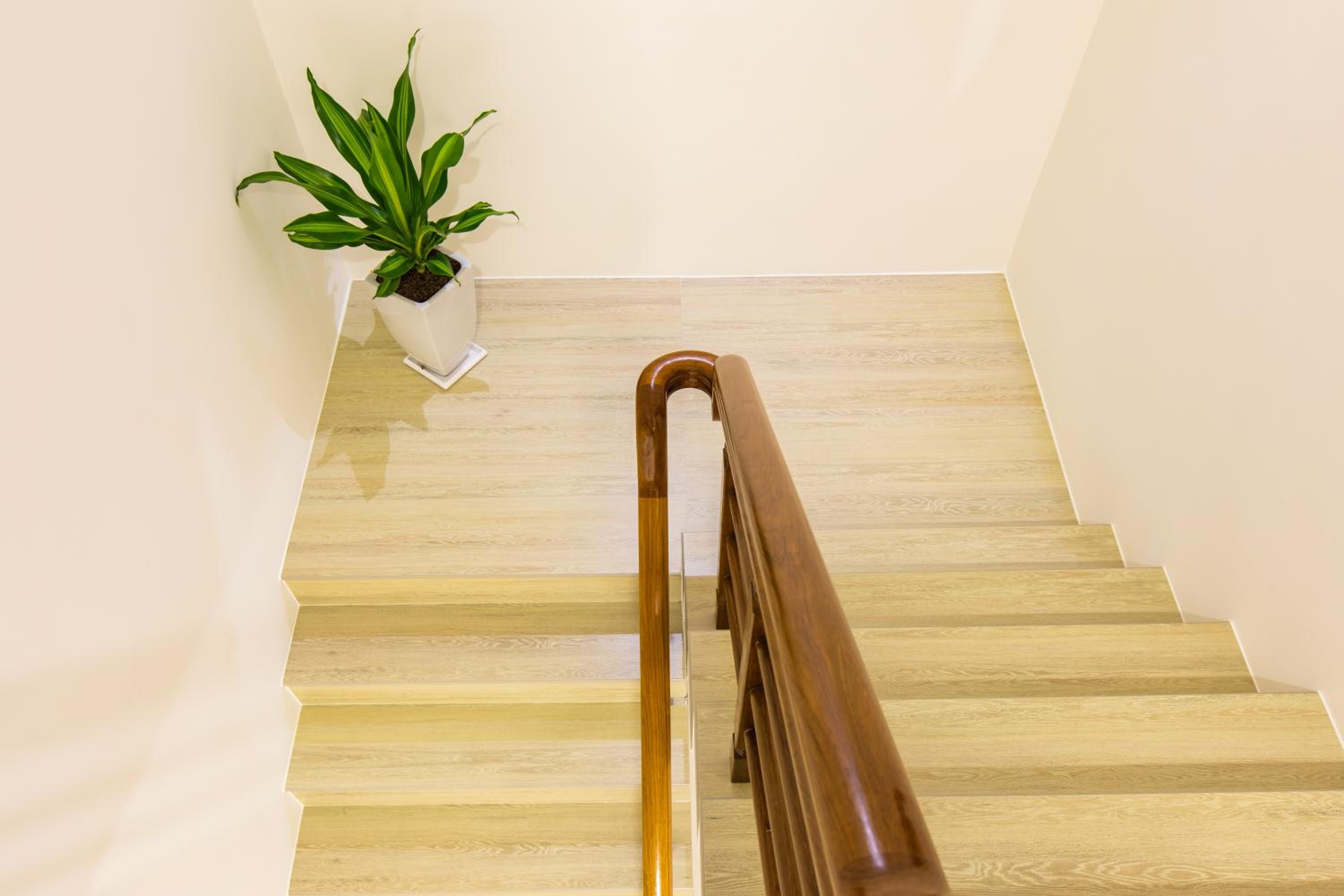杉杉行旅 Araucaria Residence