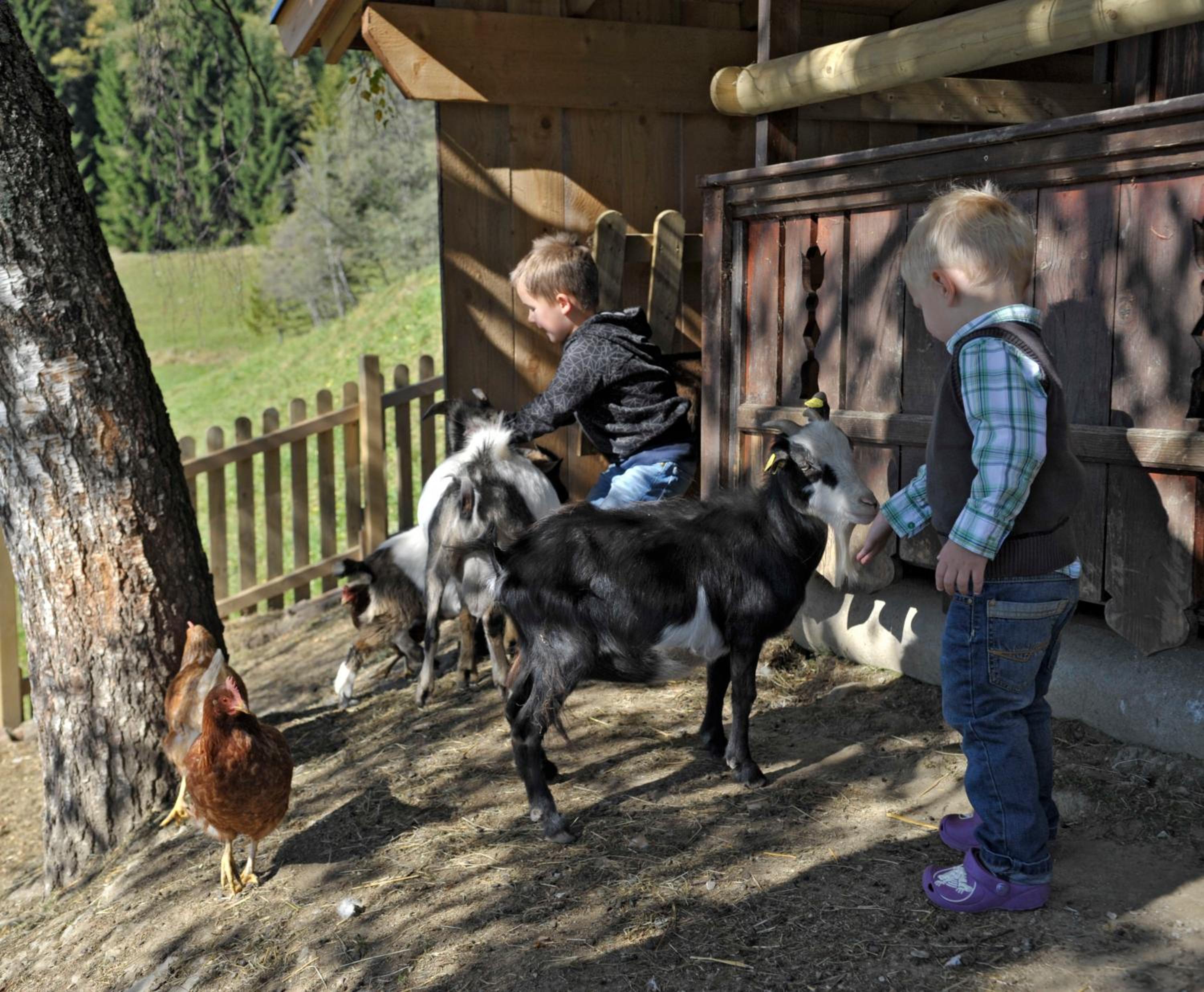 Pension Bergbauernhof Irxner