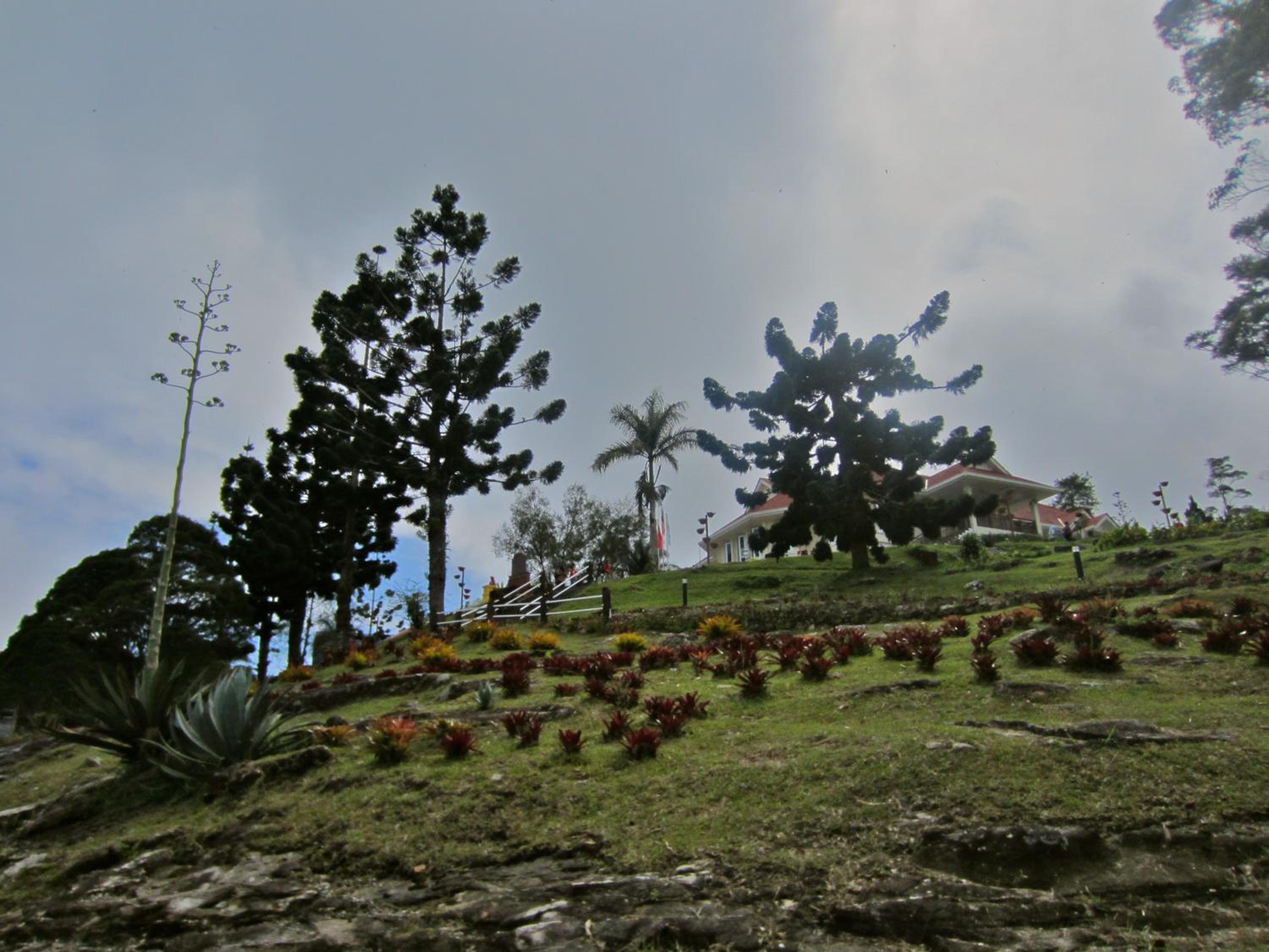 Photo 41