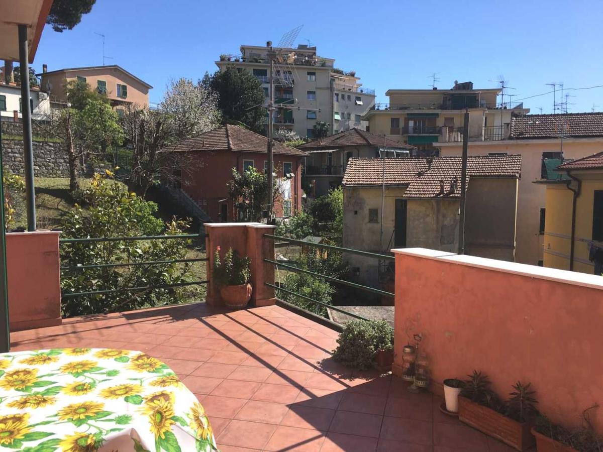 BOUGANVILLE view 2