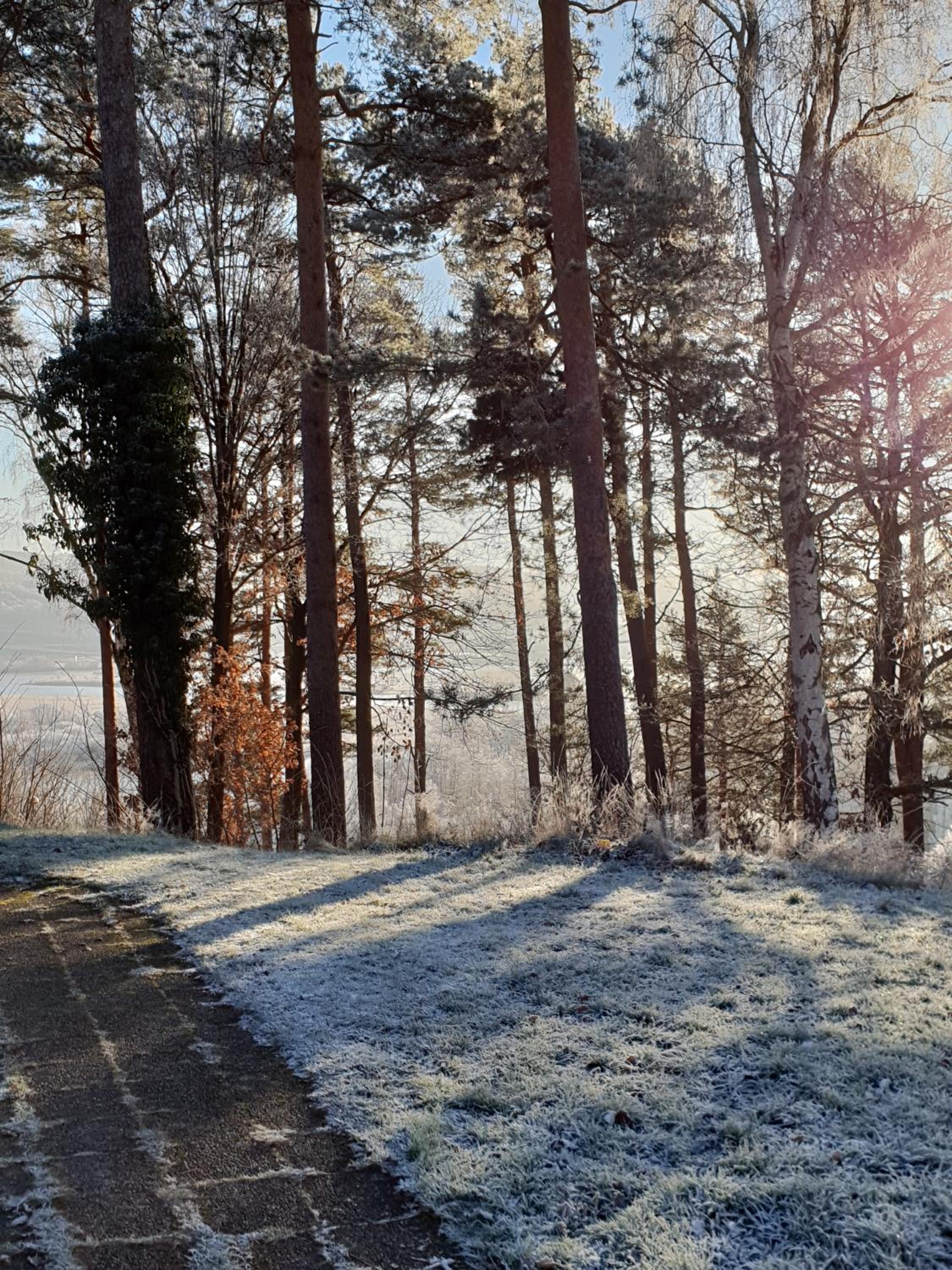 Nordiska Folkhögskolan Bed and Breakfast