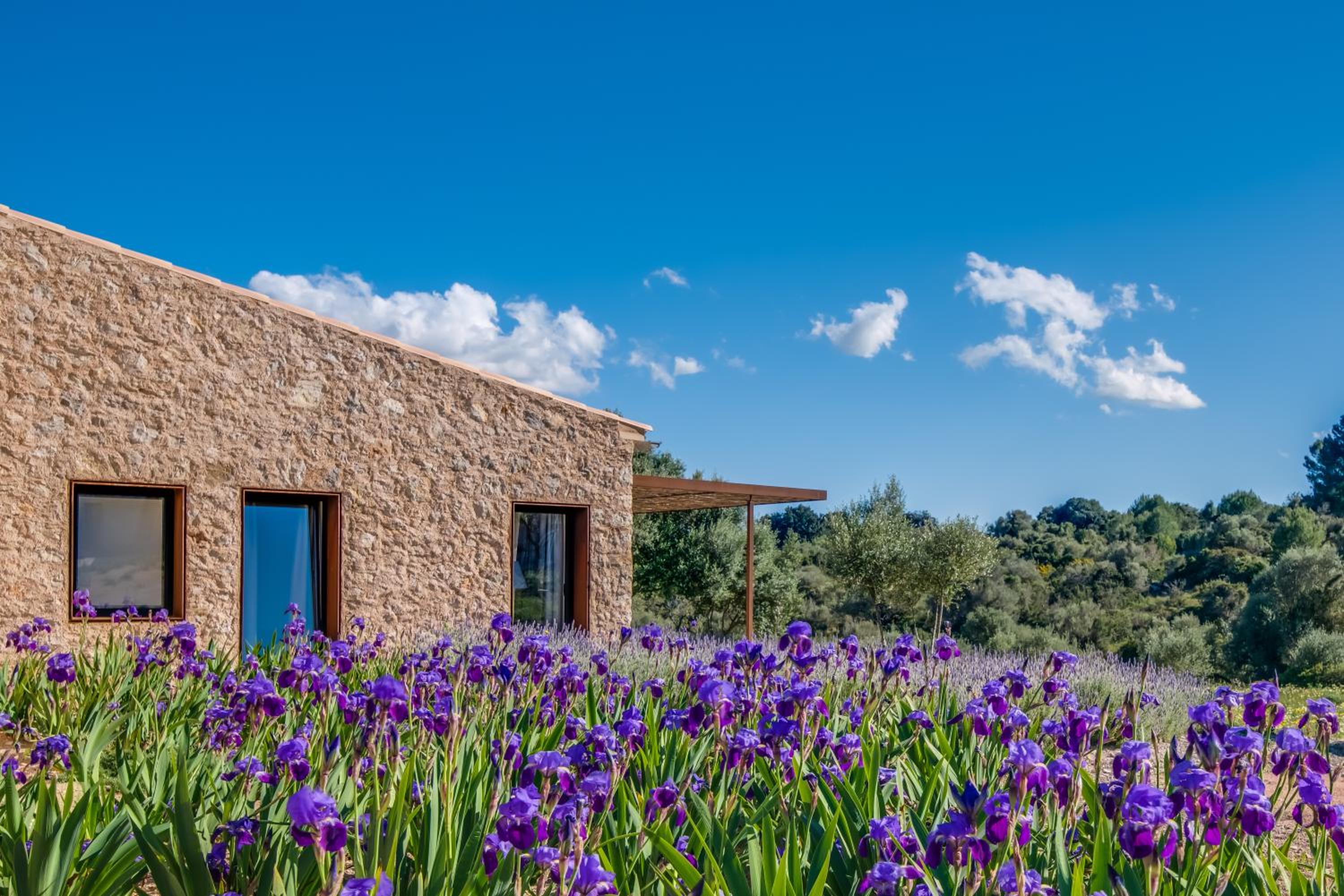 Carrossa Hotel & Spa, Artá