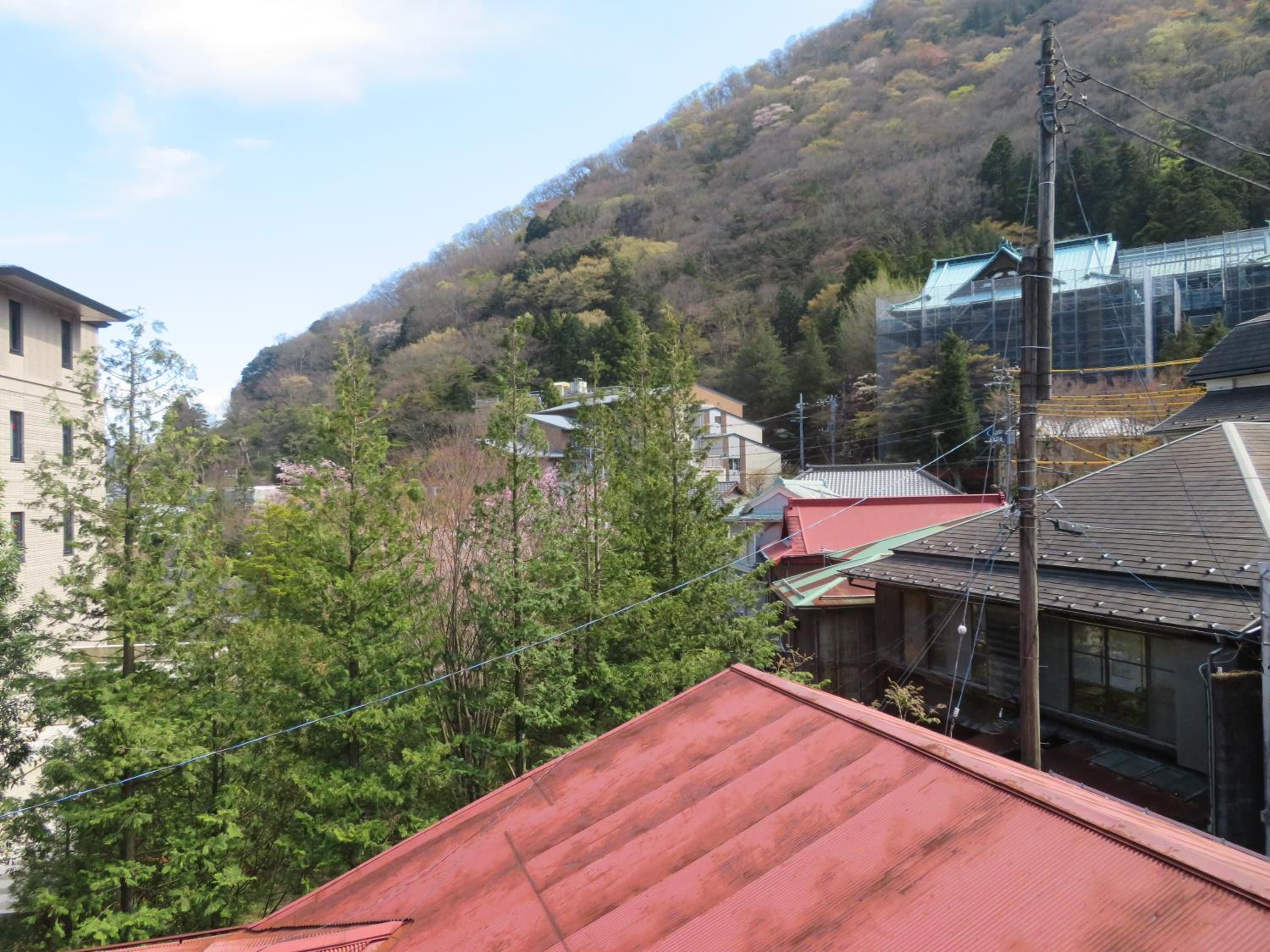 Photo 42