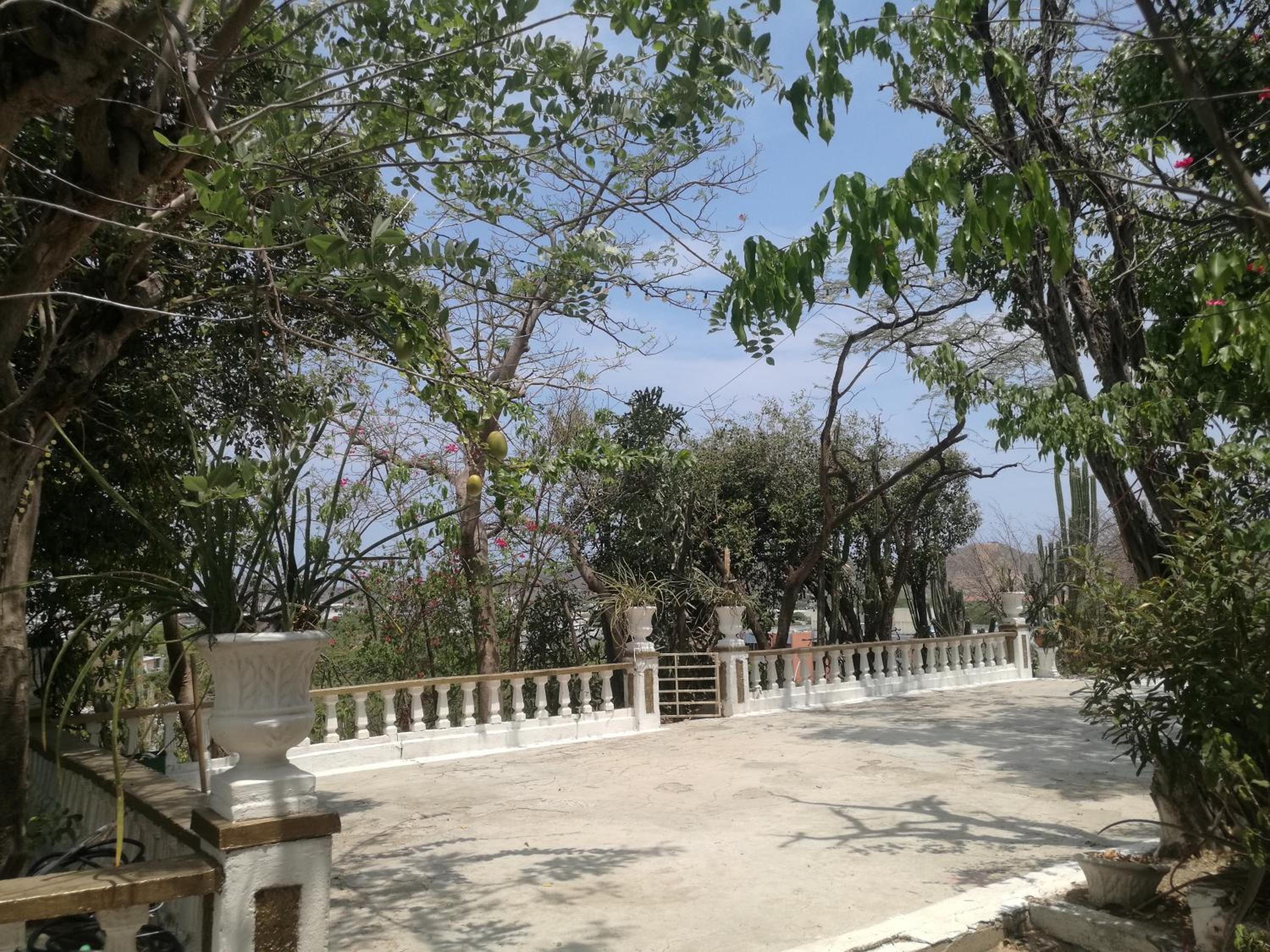 Jardin Etnobotanico Villa Ludovica