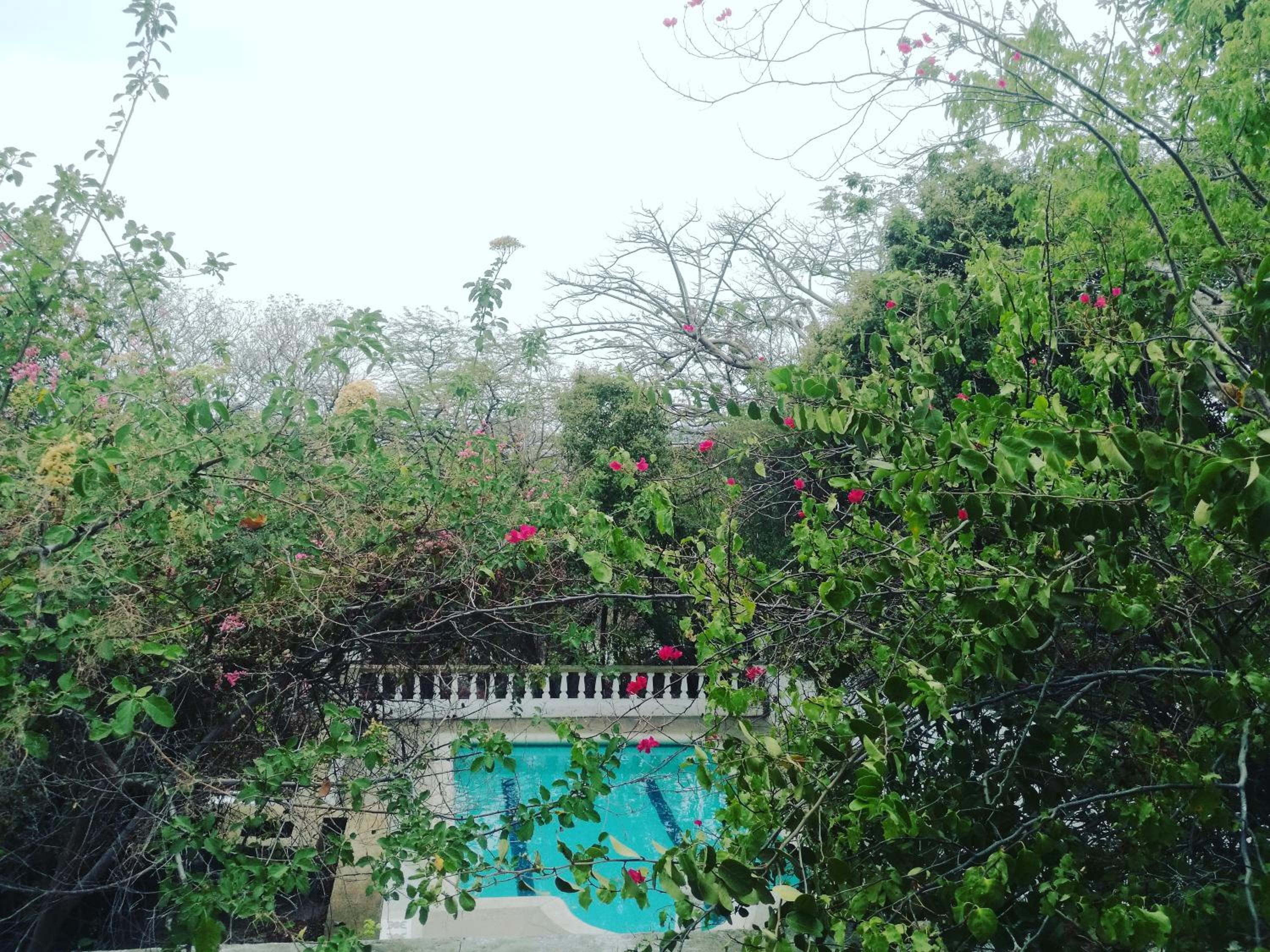 Jardin Etnobotanico Villa Ludovica
