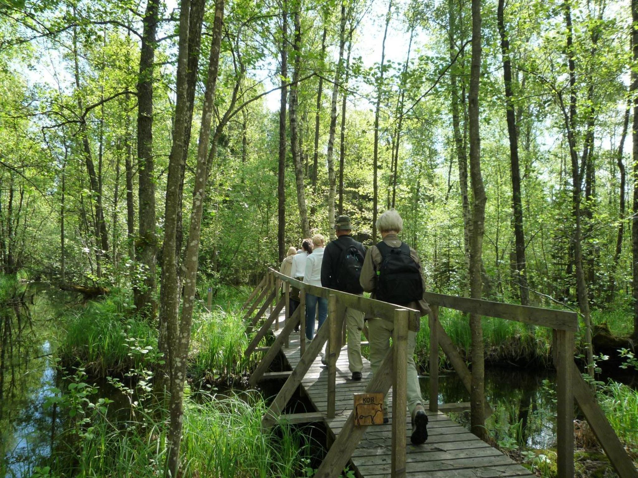Valle vandrarhem och camping
