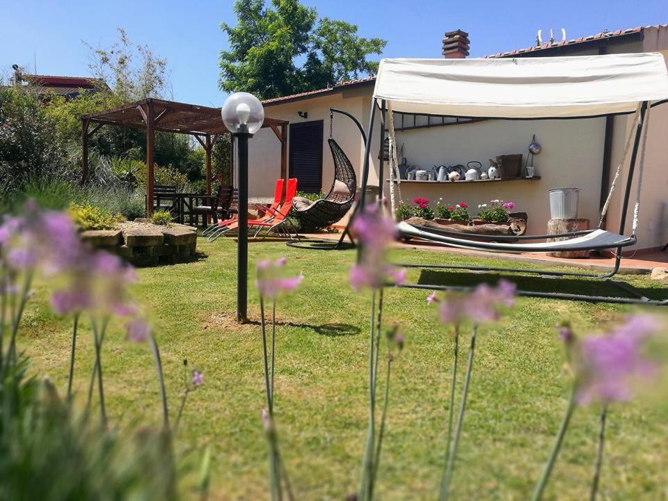 Agriturismo La Valle Dell'Albegna view 5