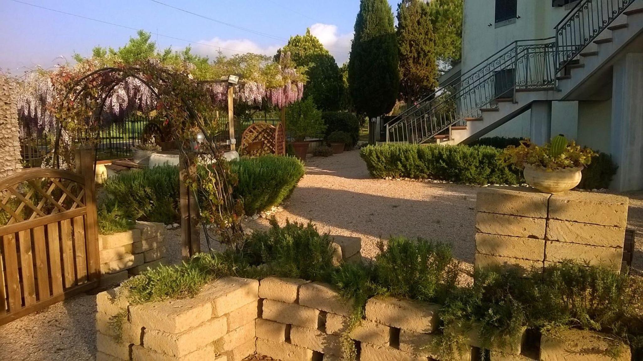 Photo 11