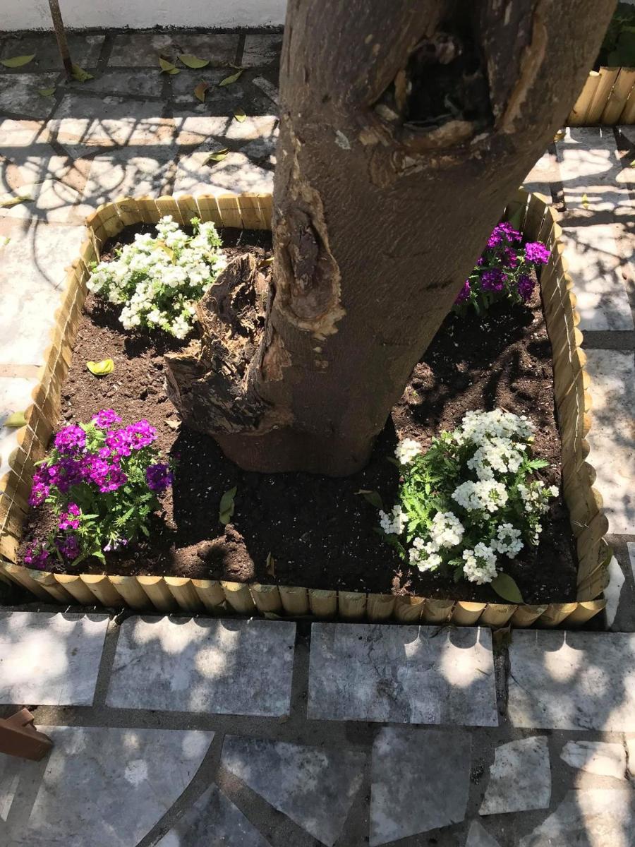 Photo 16
