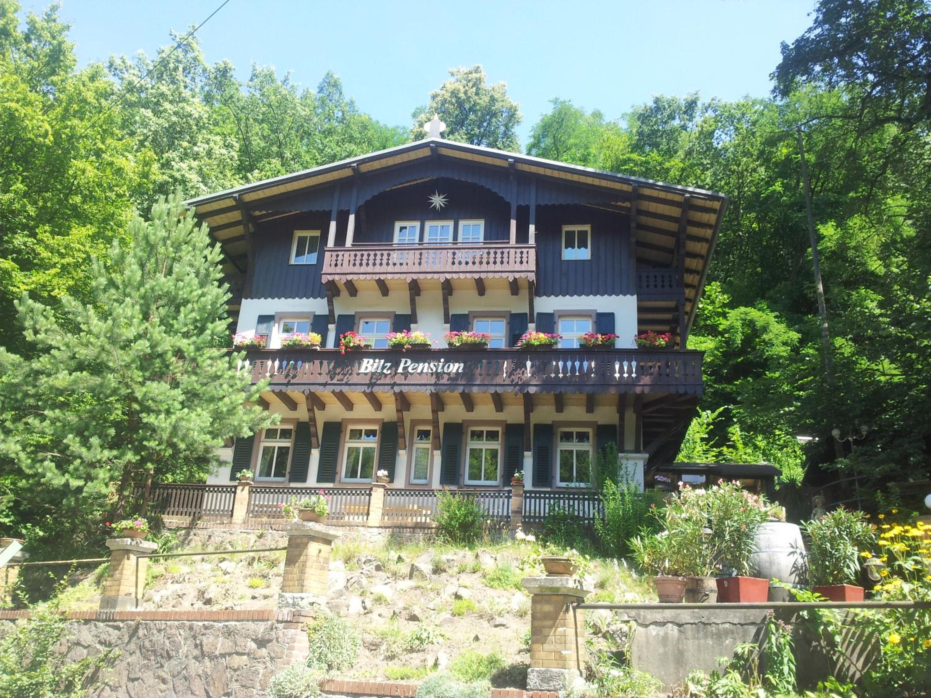 Photo 11