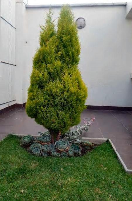 Photo 65