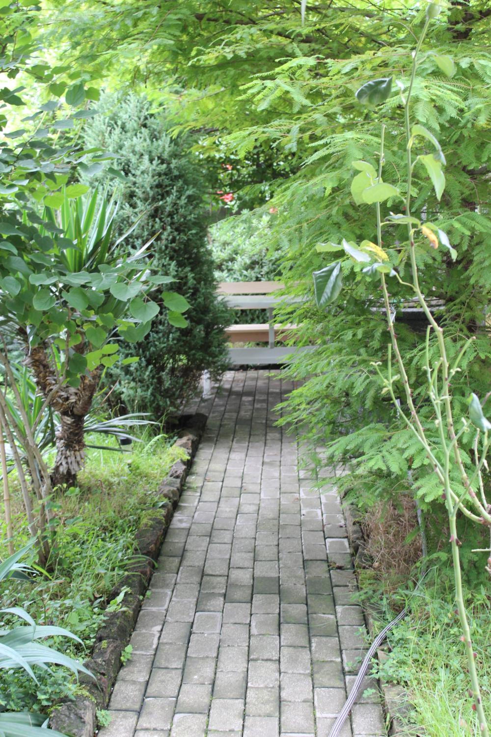 Photo 53