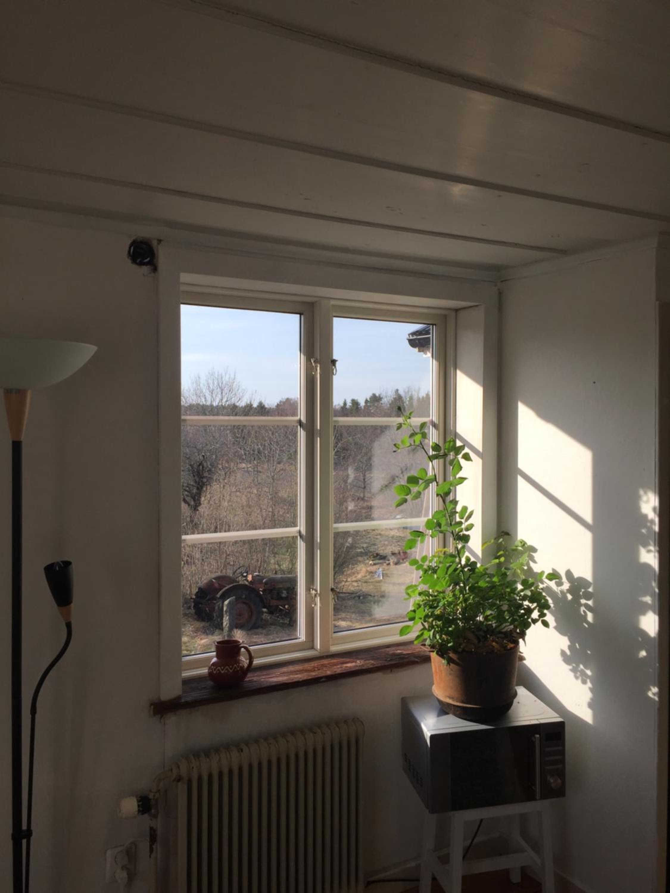 Photo 39
