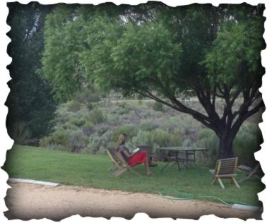 Bullberry inn Bed & Breakfast view 5