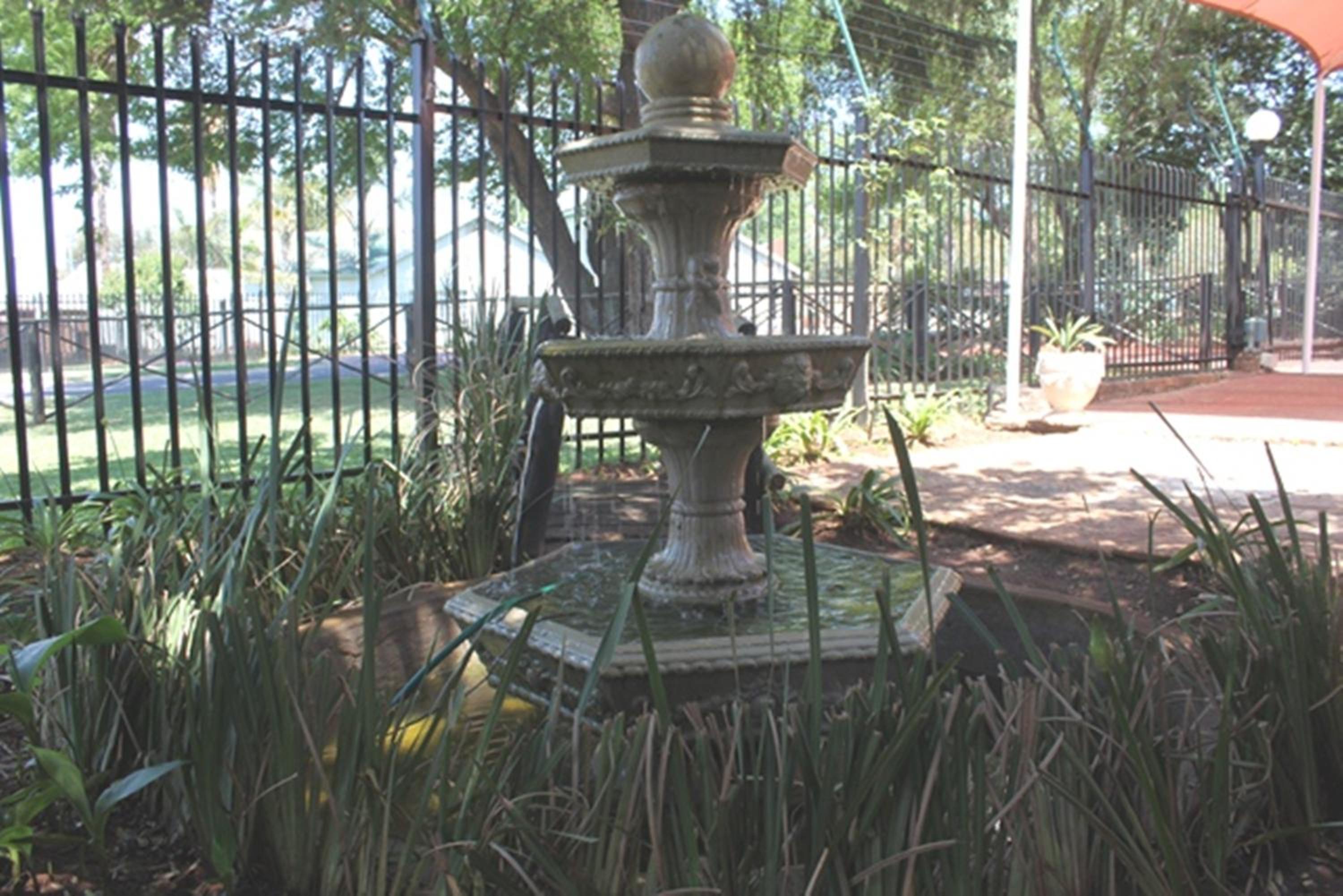 Photo 11