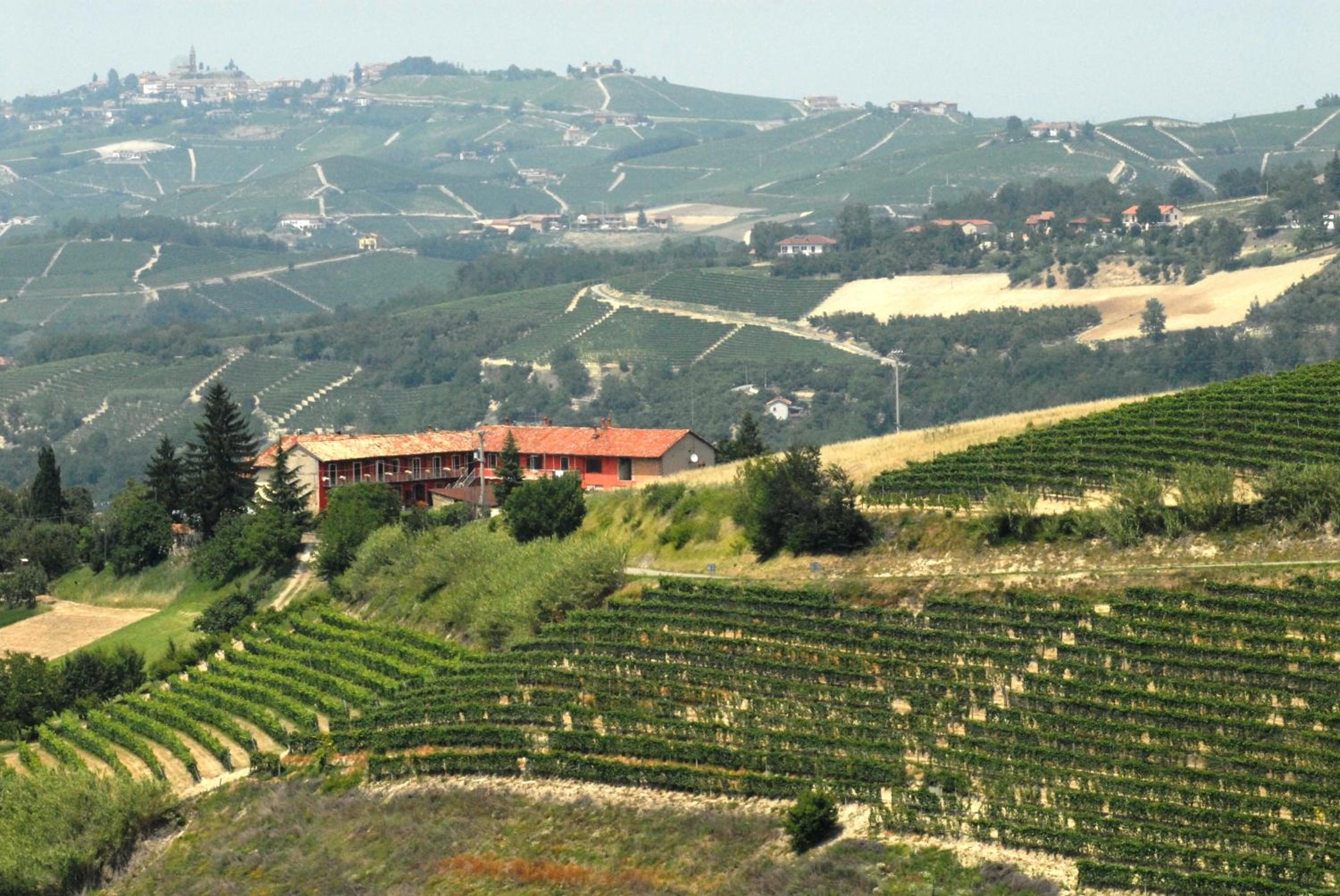 Bricco Del Gallo - main view