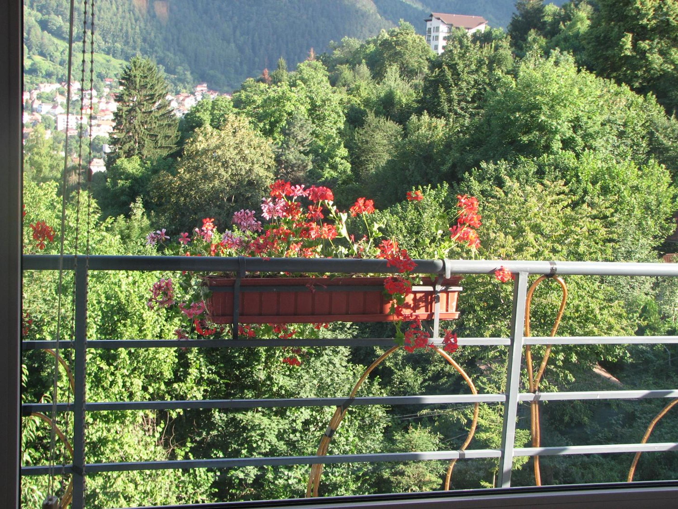 Pensiunea Warthe Bed & Breakfast view 2